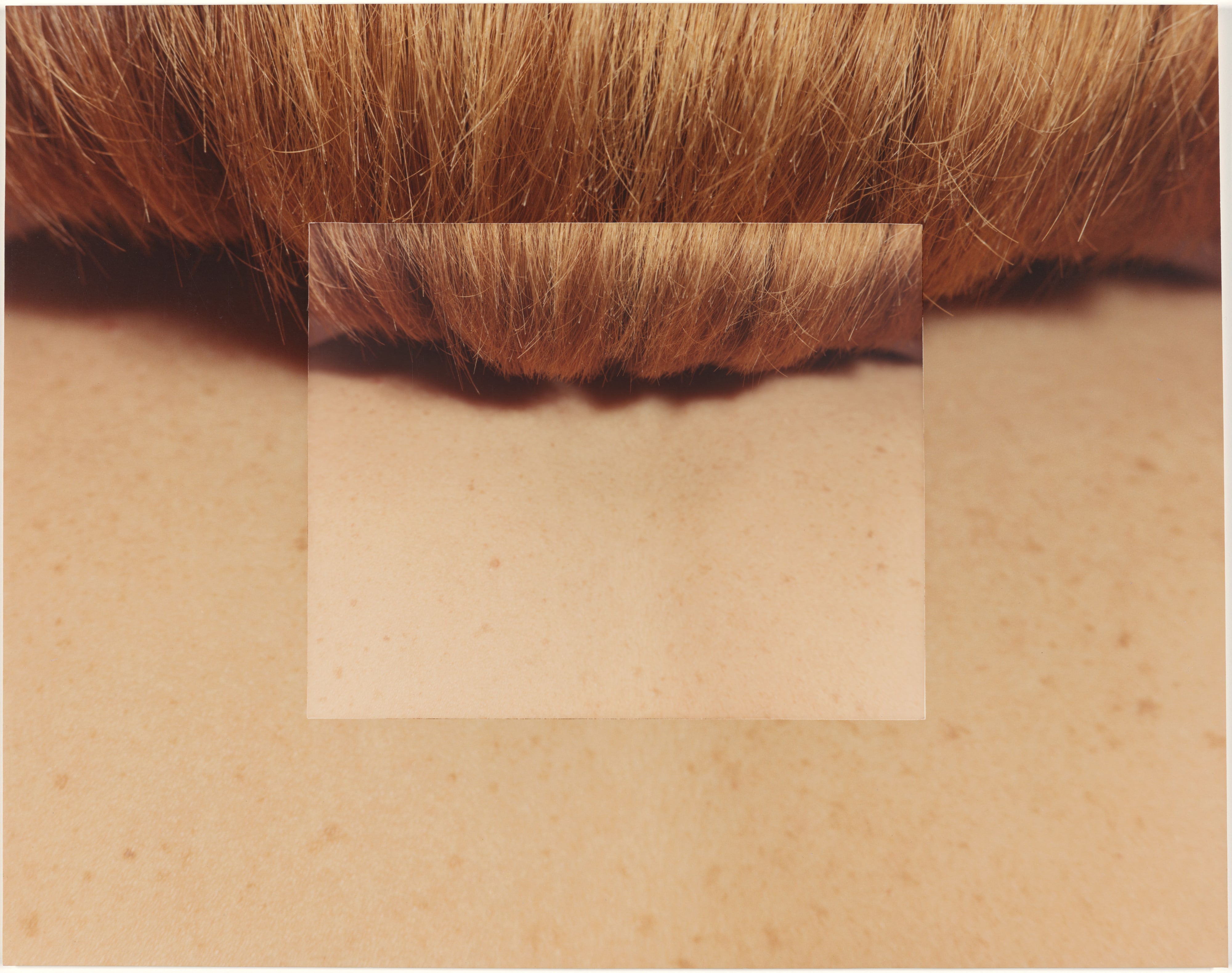 Topographic series #1