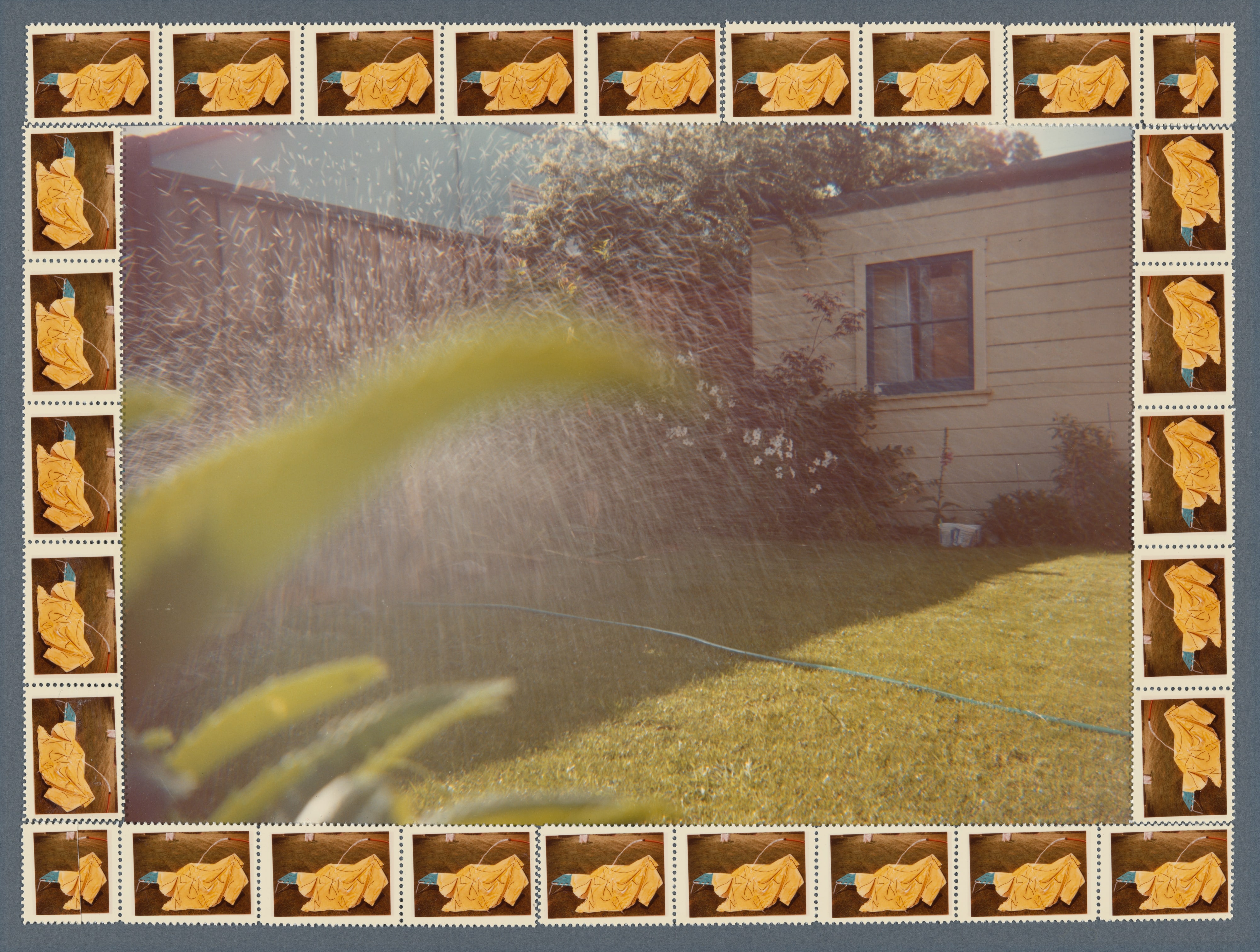 Backyard Summer