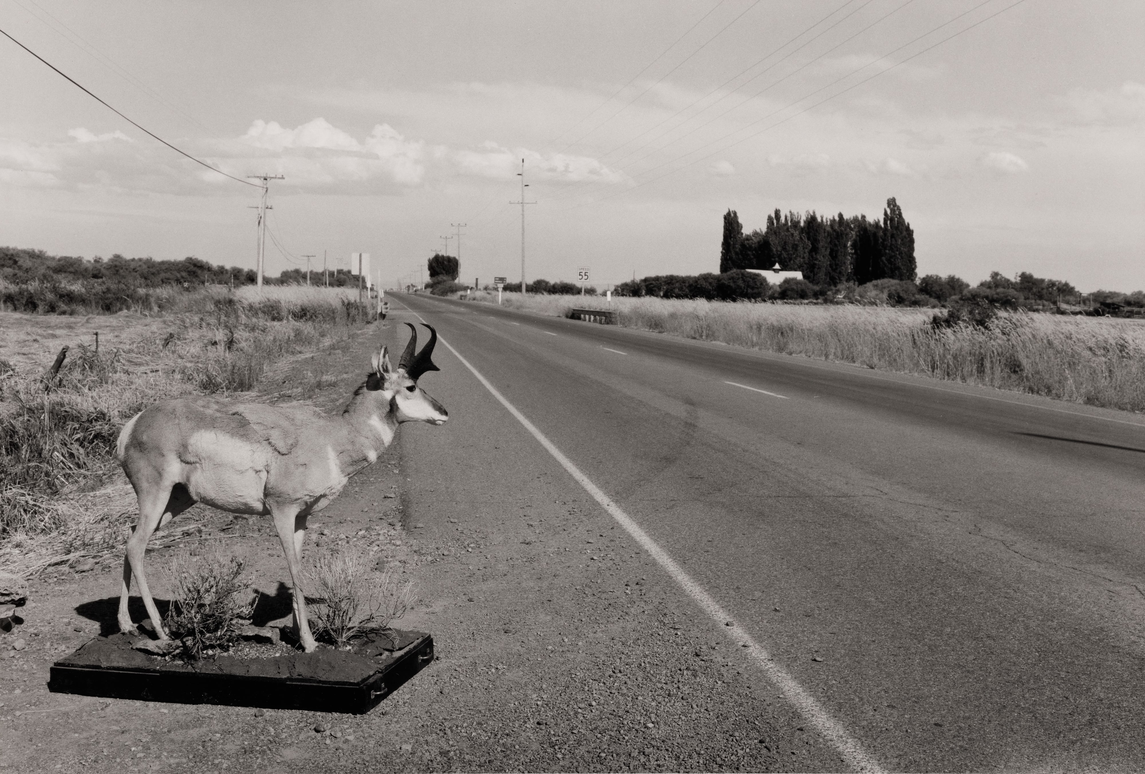 Near Burns, Oregon