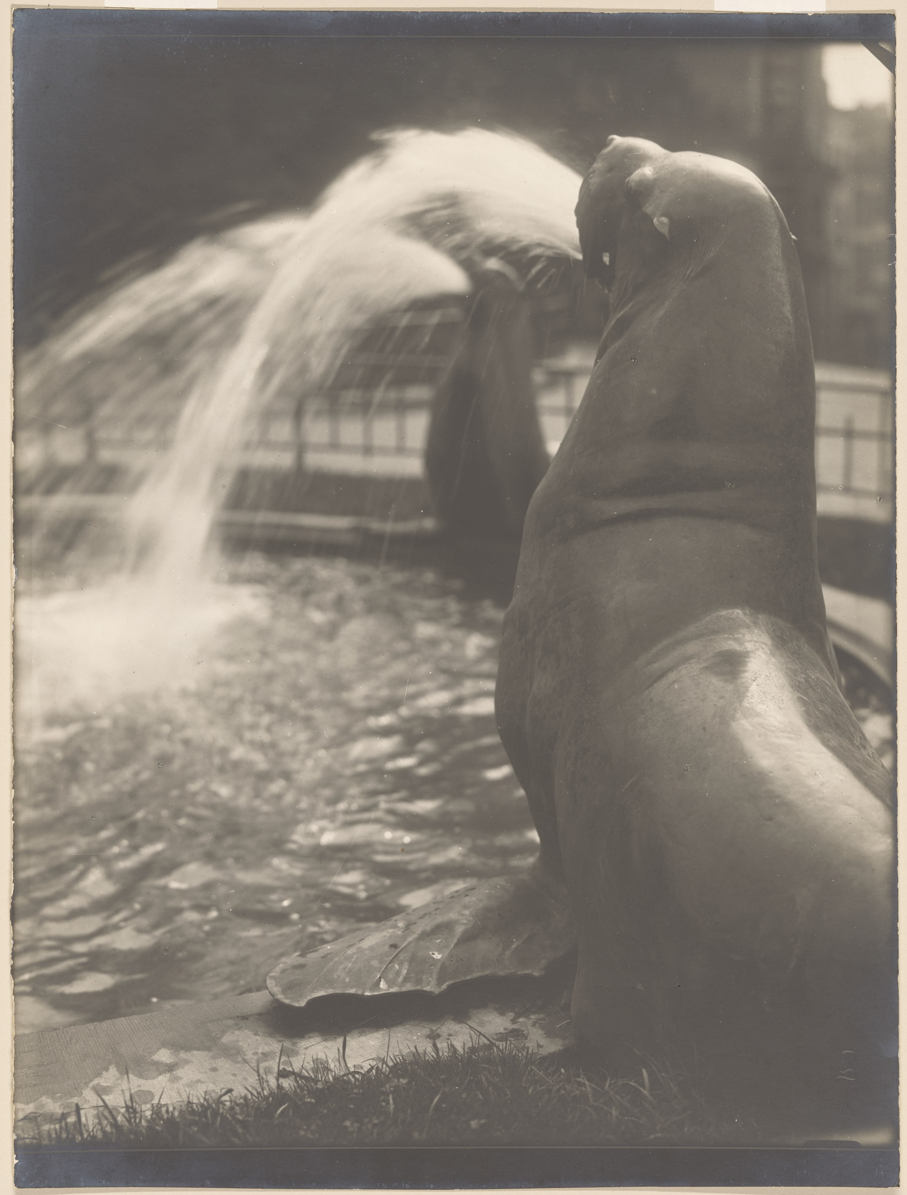 Sea Lions Fountain, Mont des Arts, Brussels