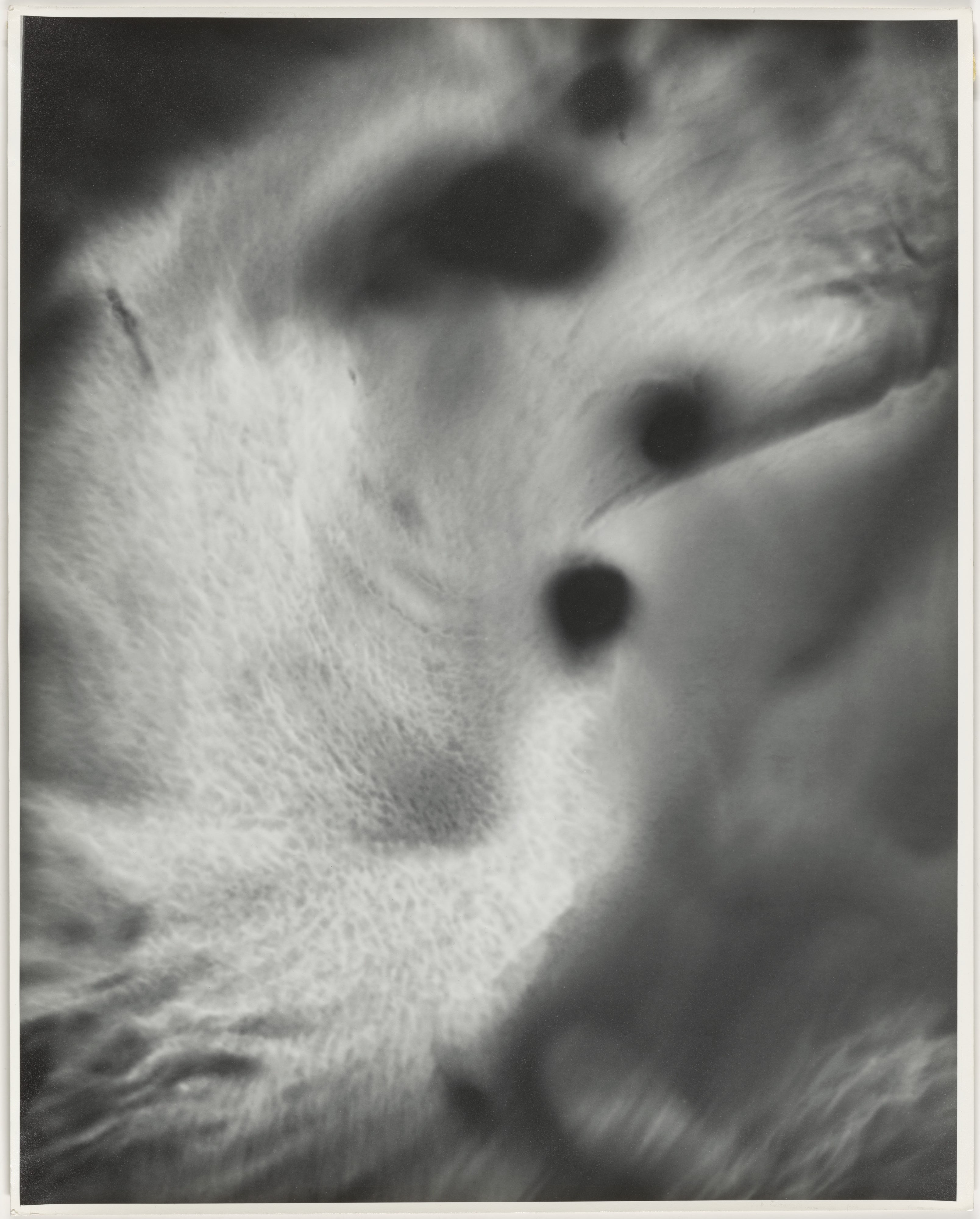 Fotografía del Pensamiento (Thought Photograph)