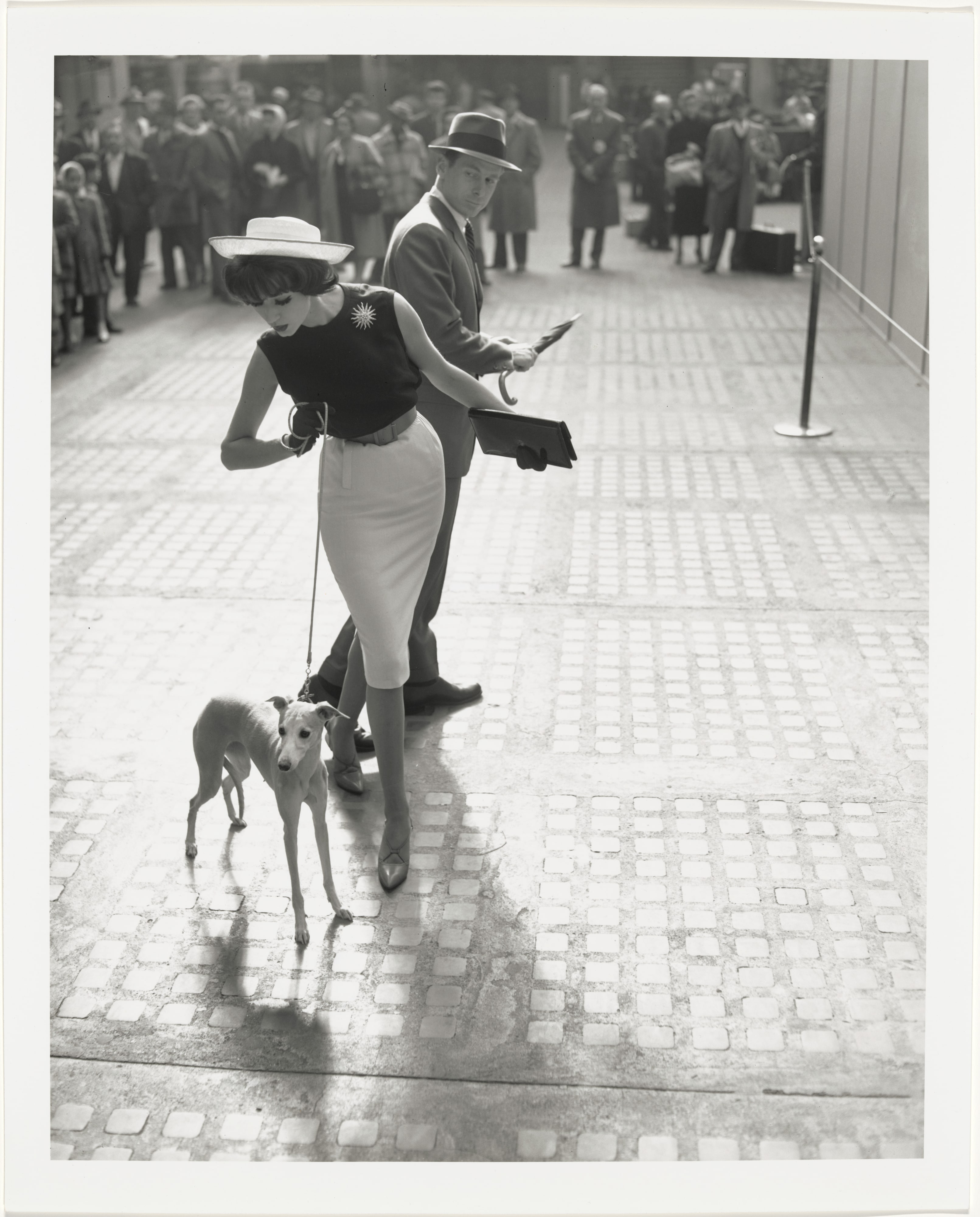 Simone D’Aillencourt with Whippet