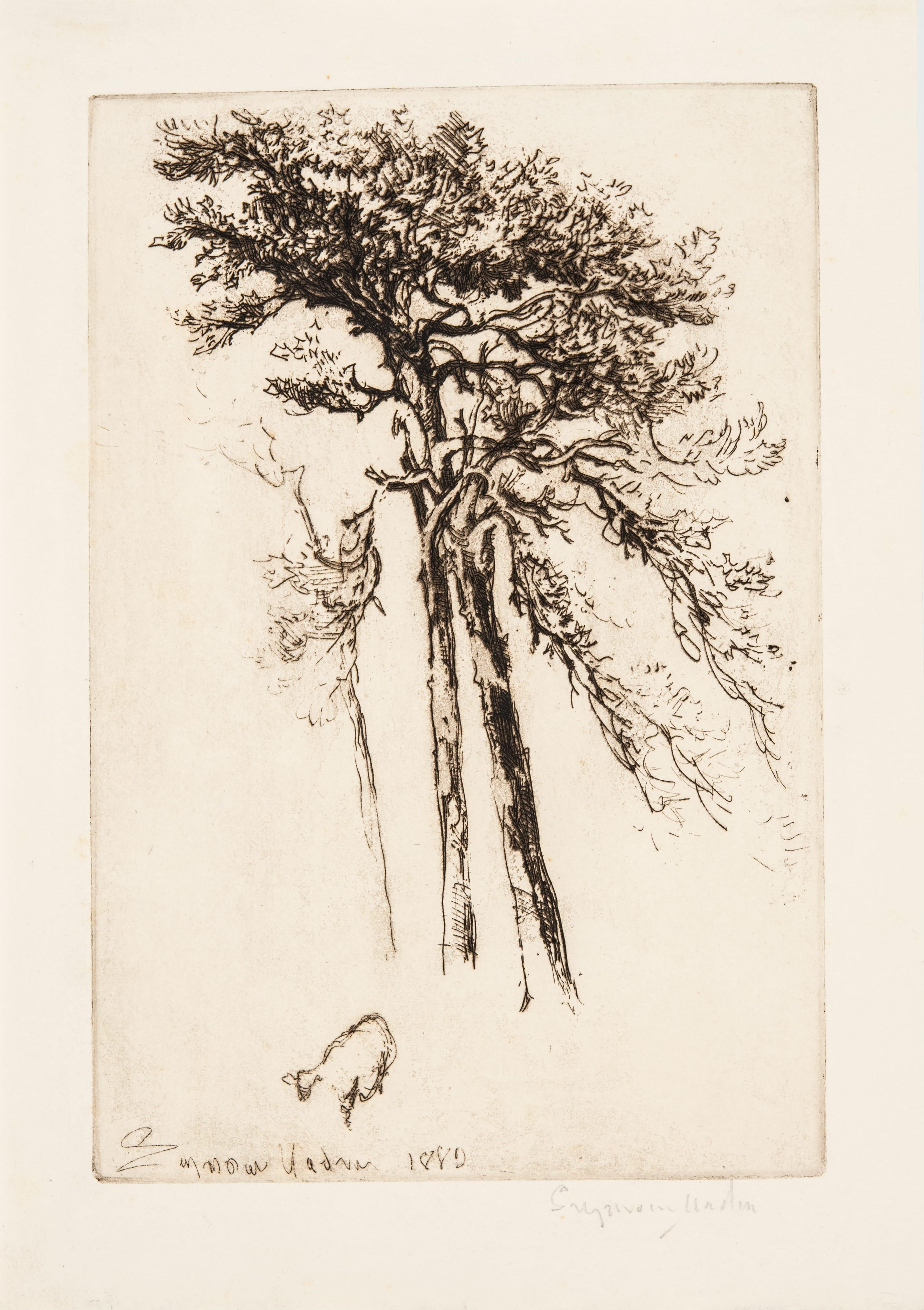 The Latest Tree