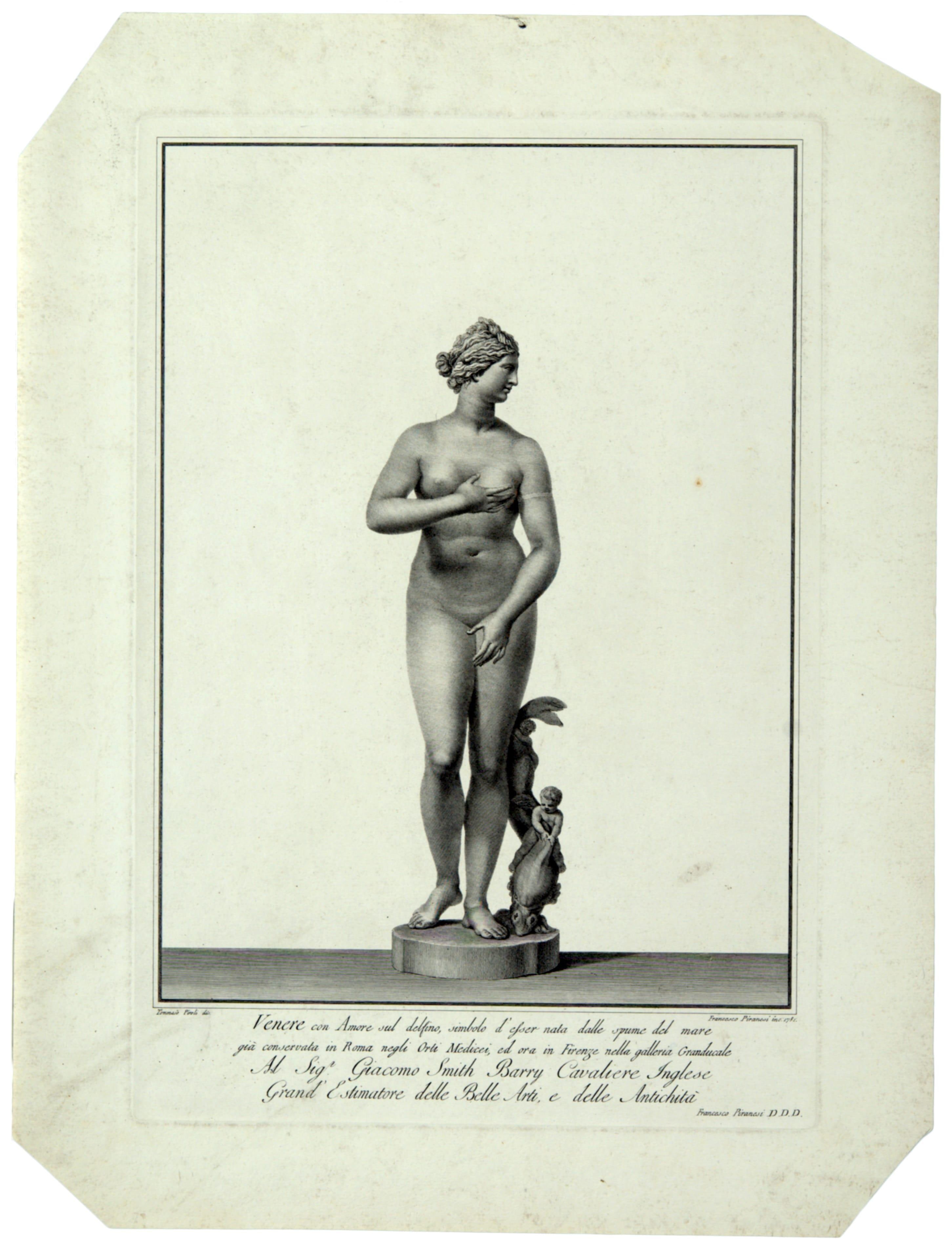 The Medici Venus