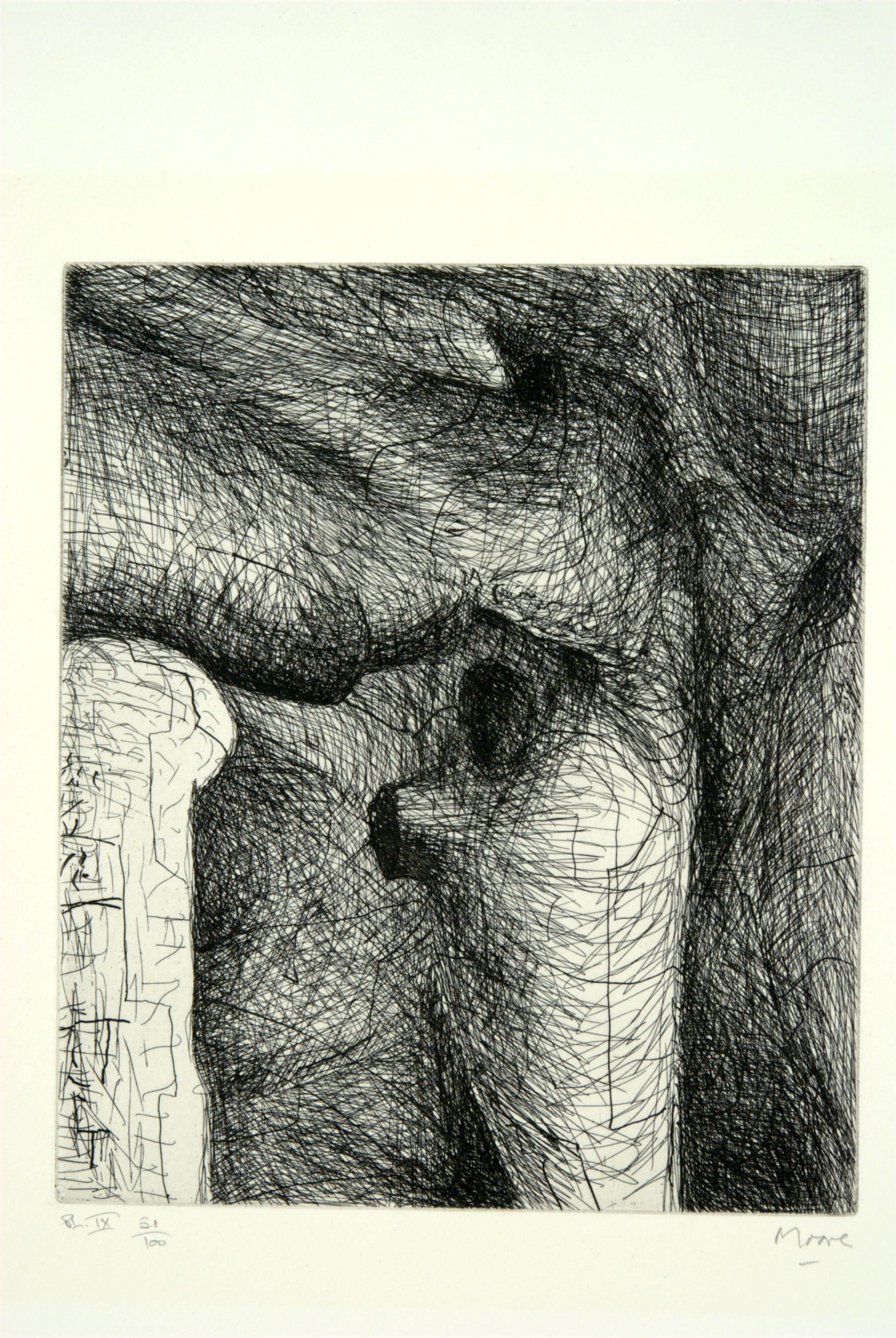 Elephant Skull, plate IX