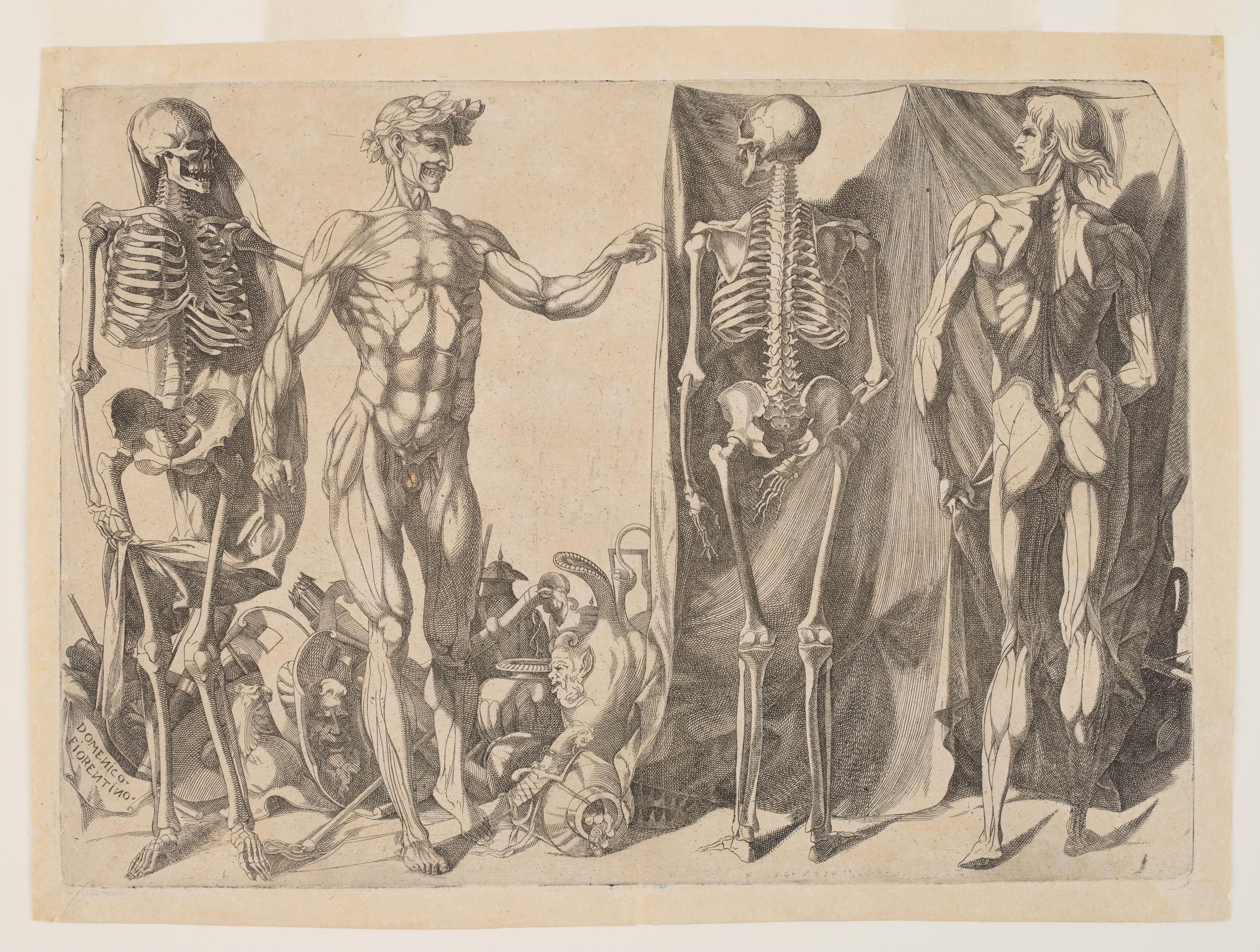 Skeletons and Ecorches