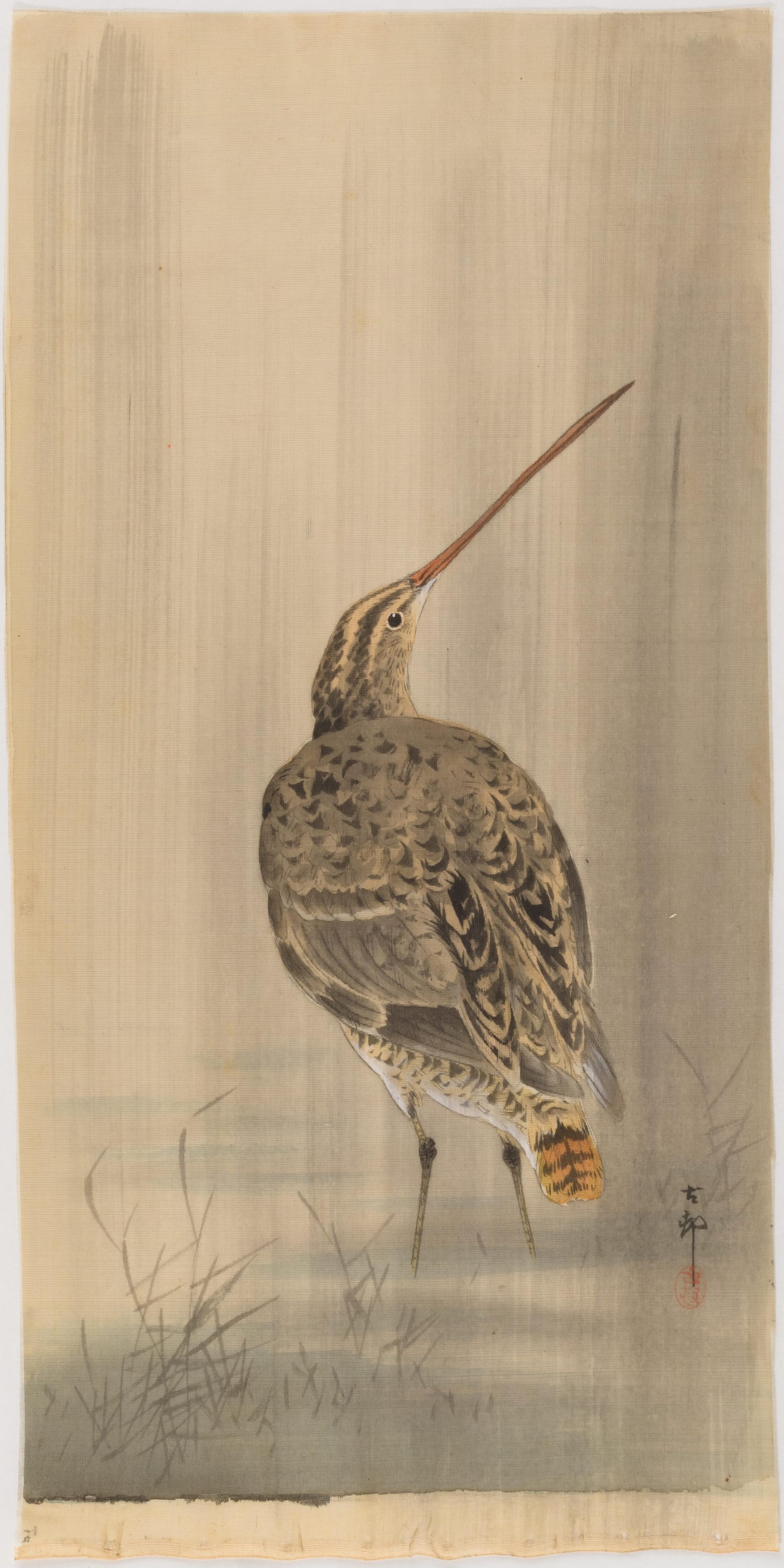Snipe in the Rain