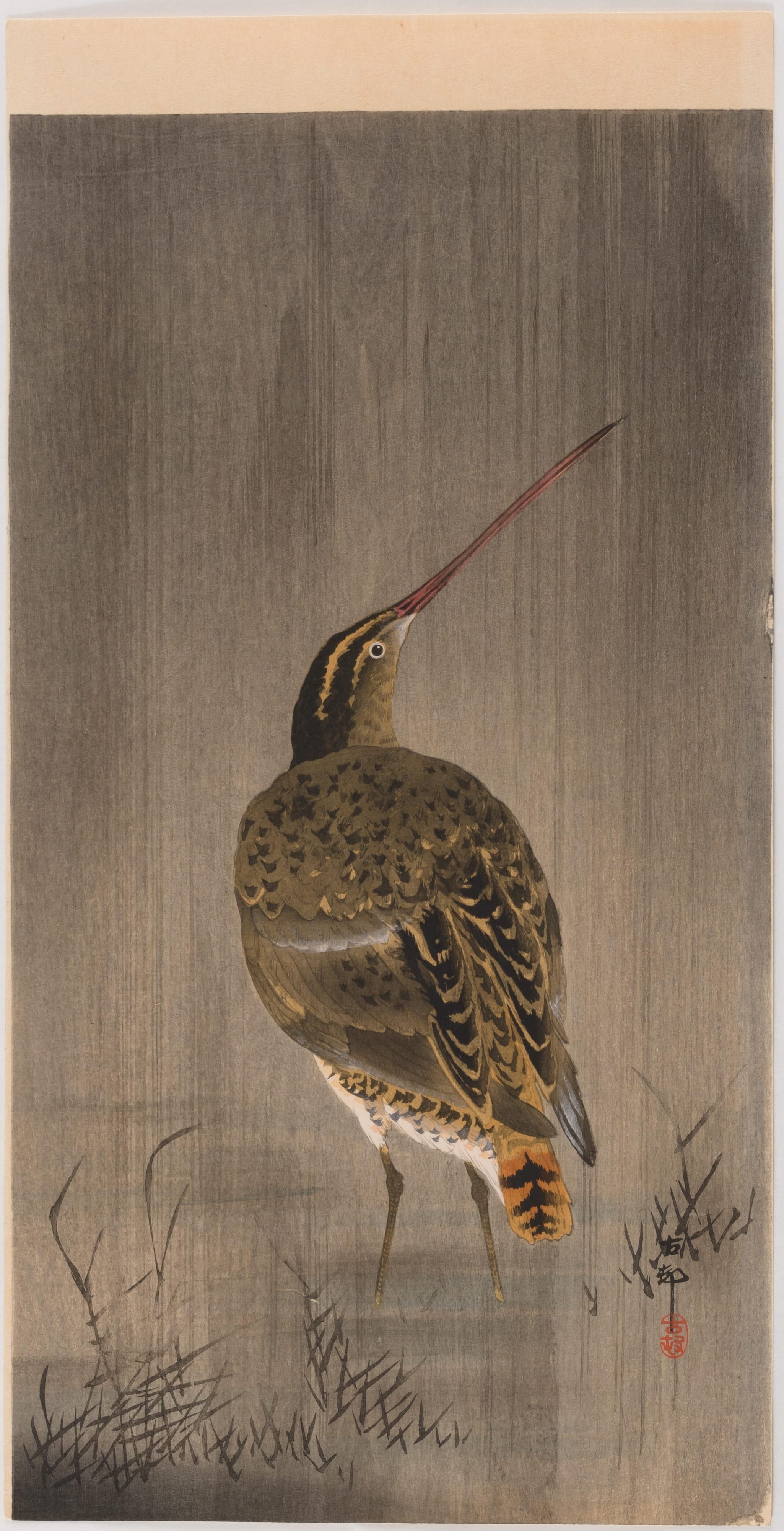 Snipe in the Rain