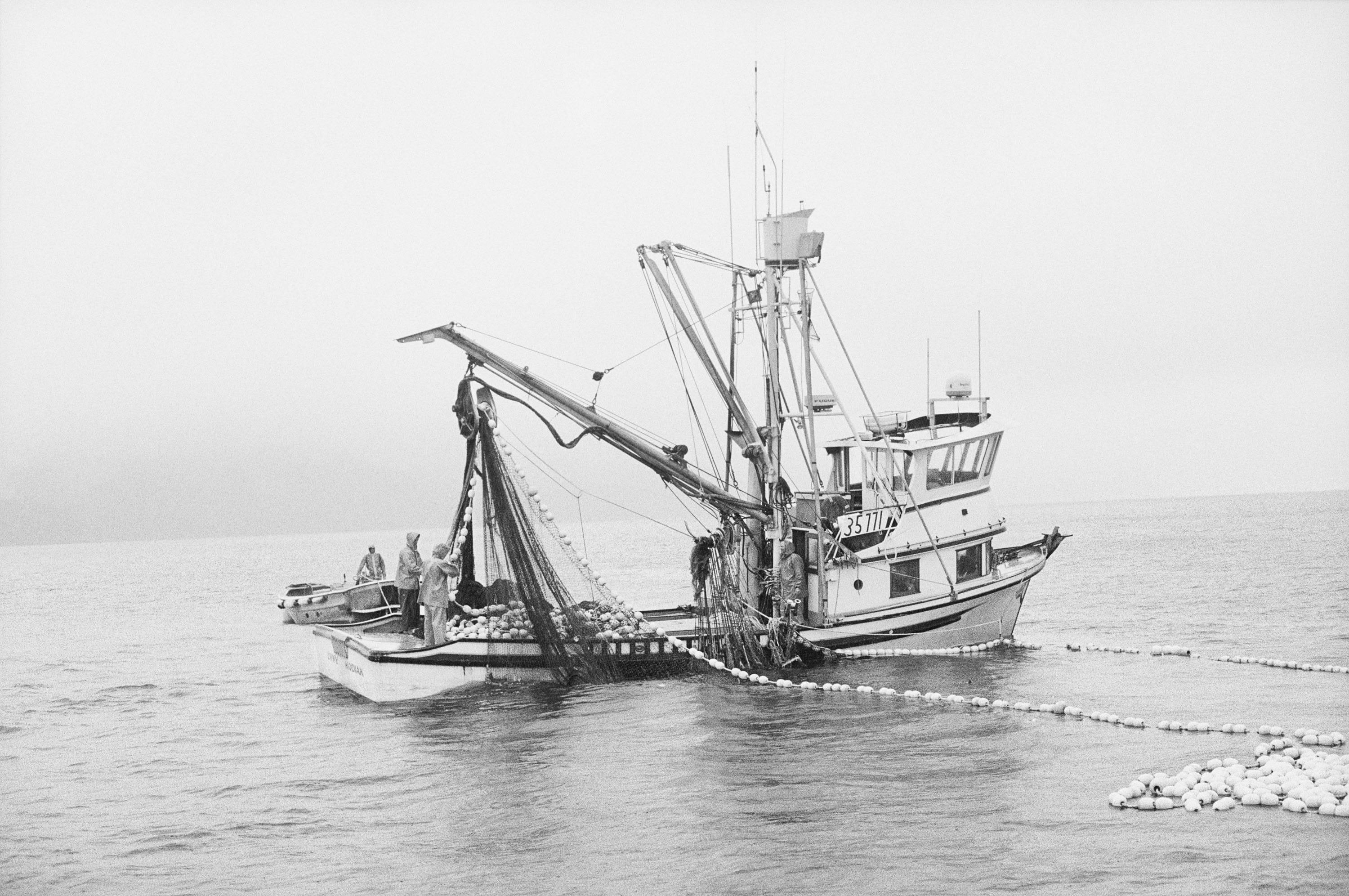 Kodiak