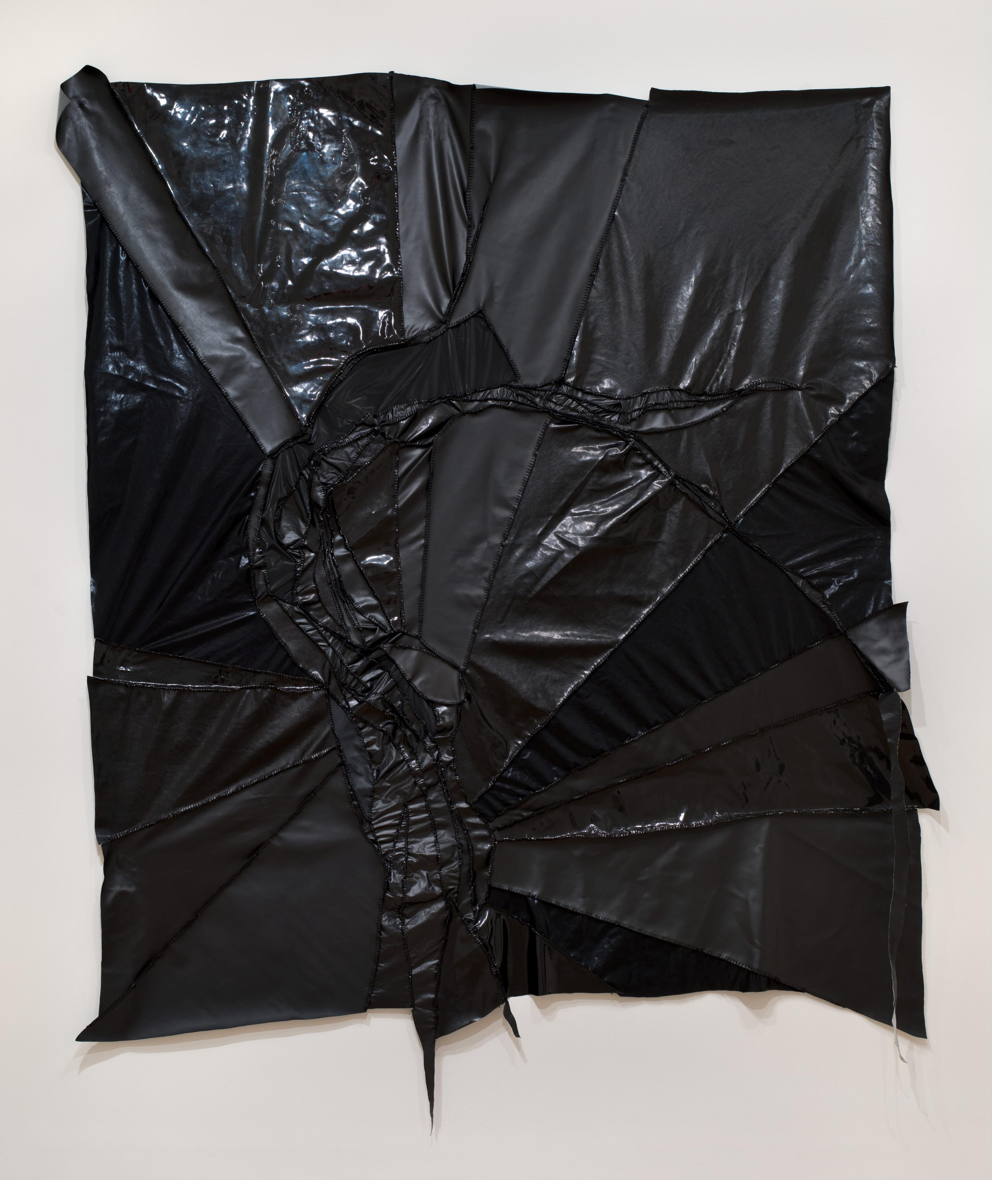 Untitled (for Billie, a Poplar Tree)