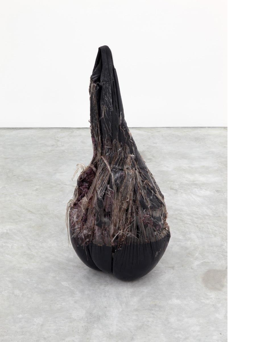 Untitled (Lumbar)