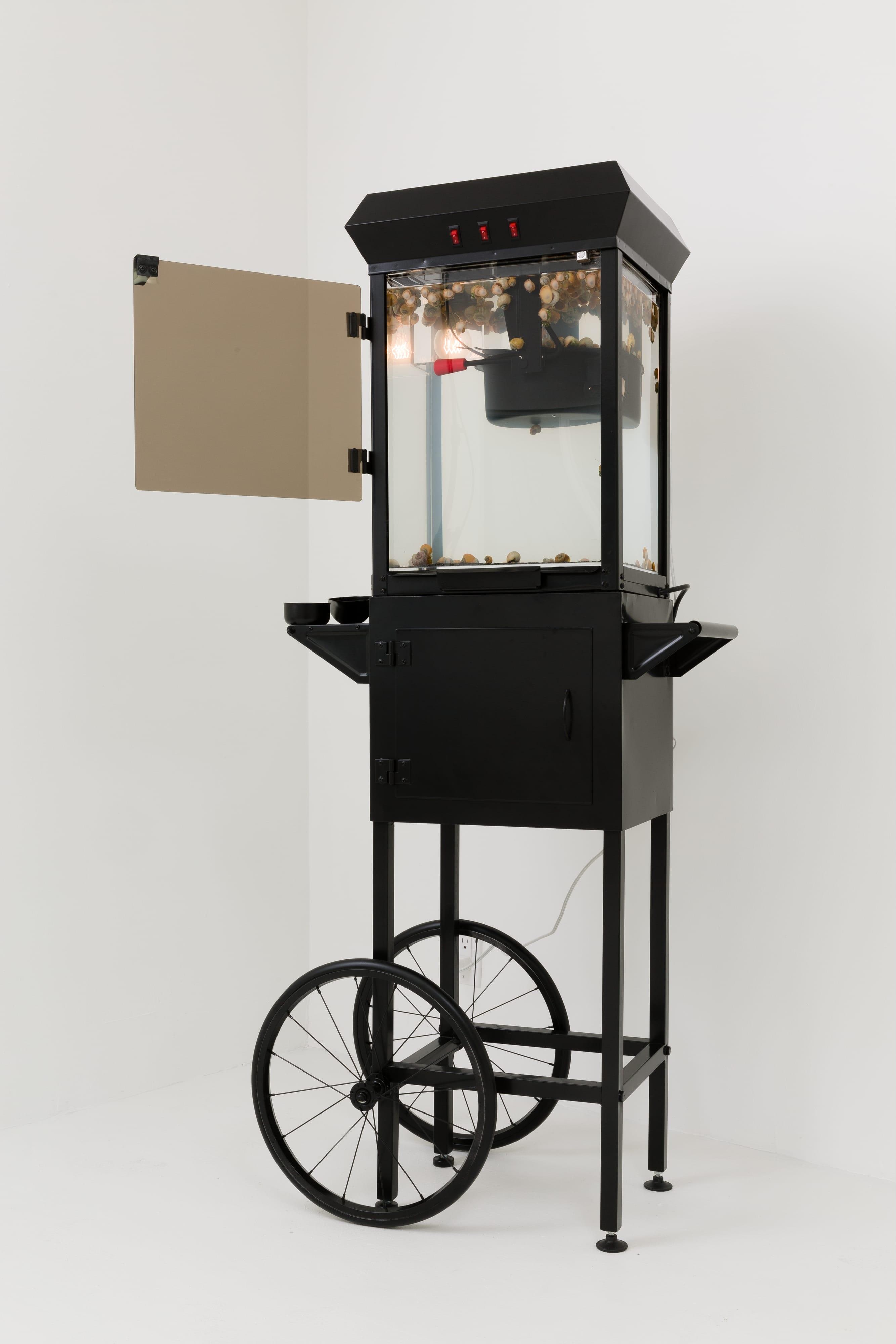 Aral Spring Trolley