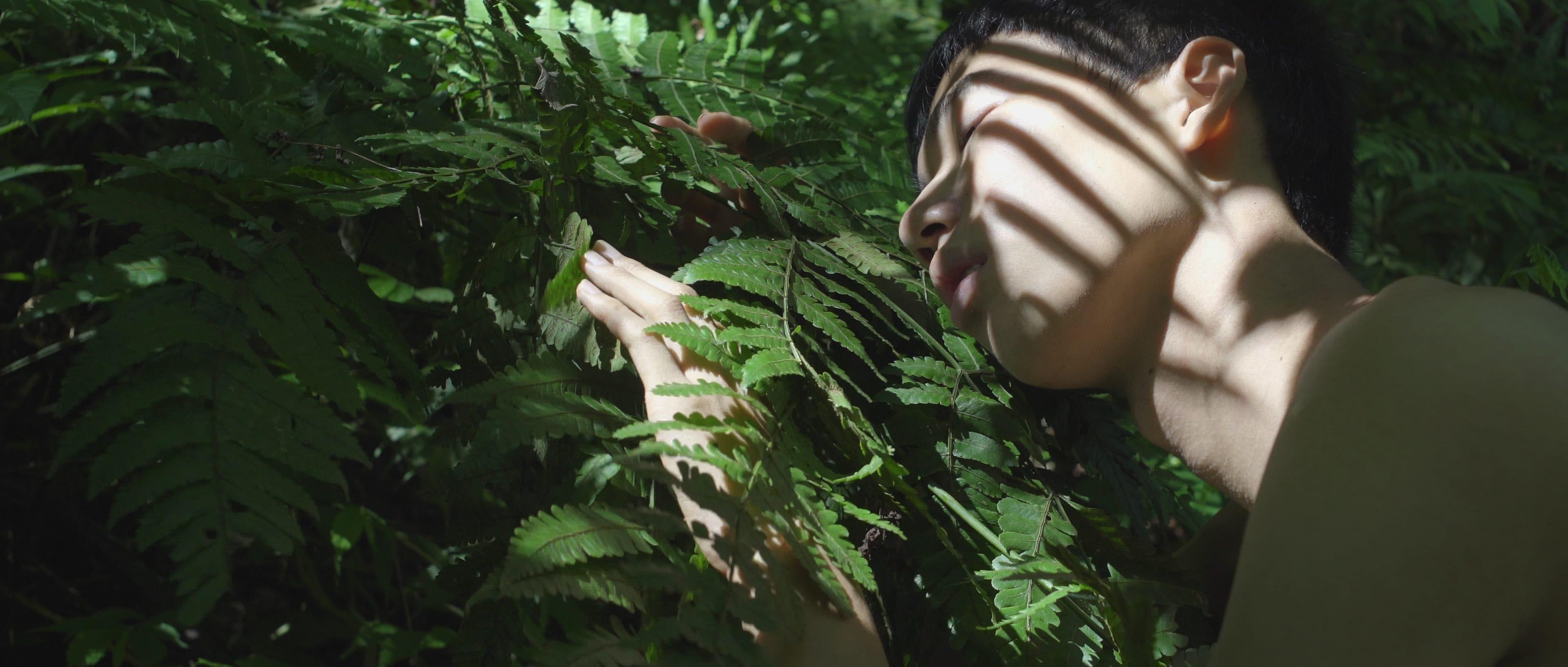 Pteridophilia I