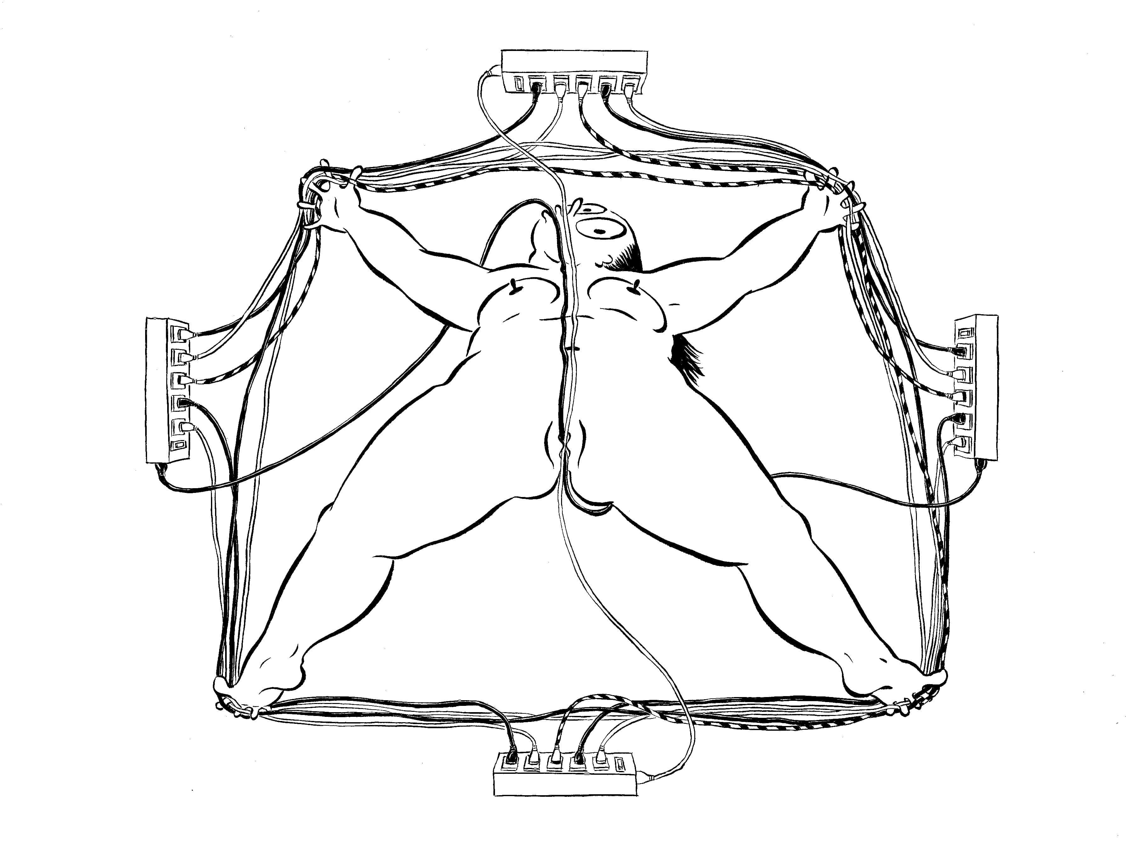 Fatebe Cords Organized