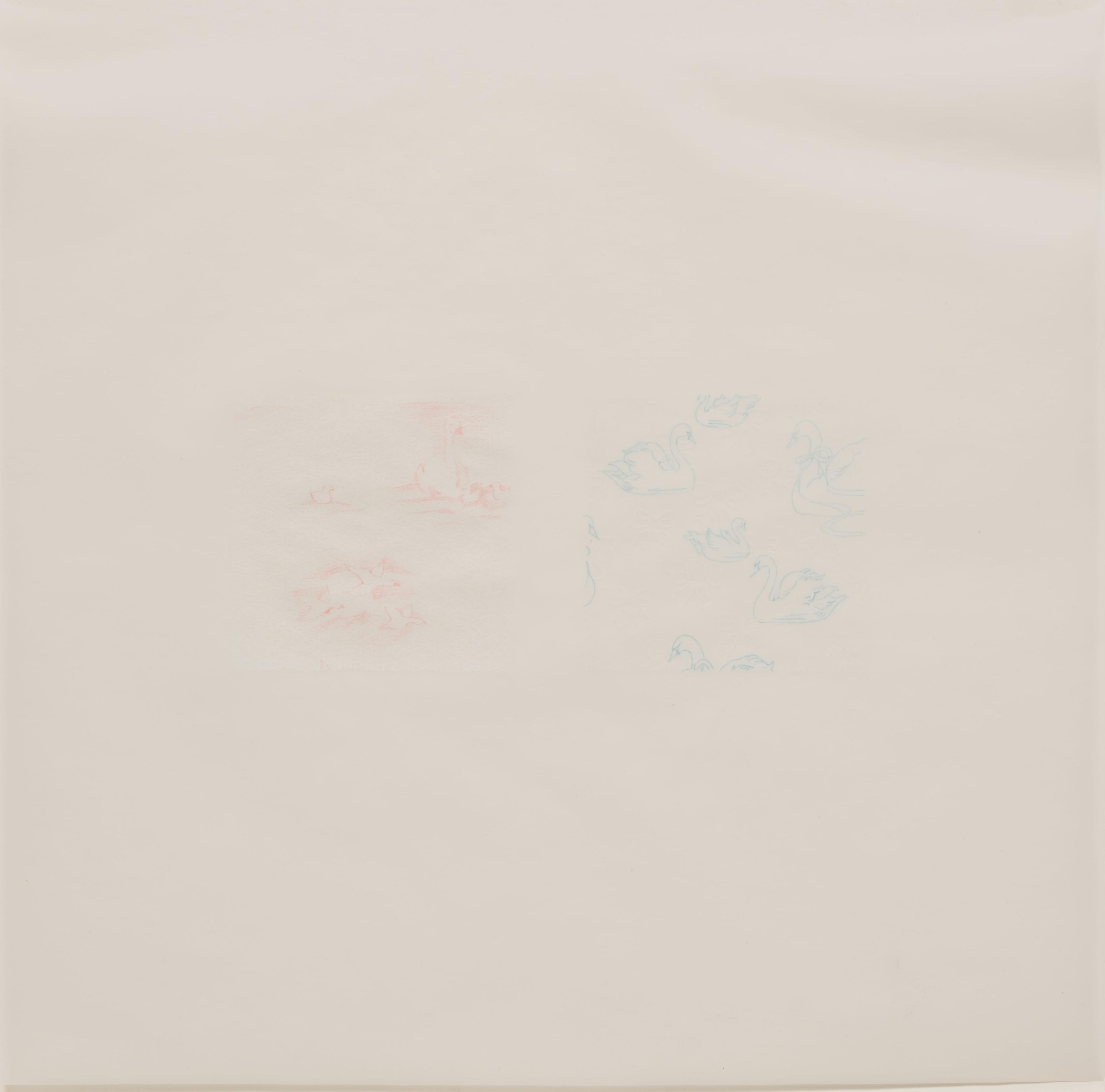 Untitled toilet paper