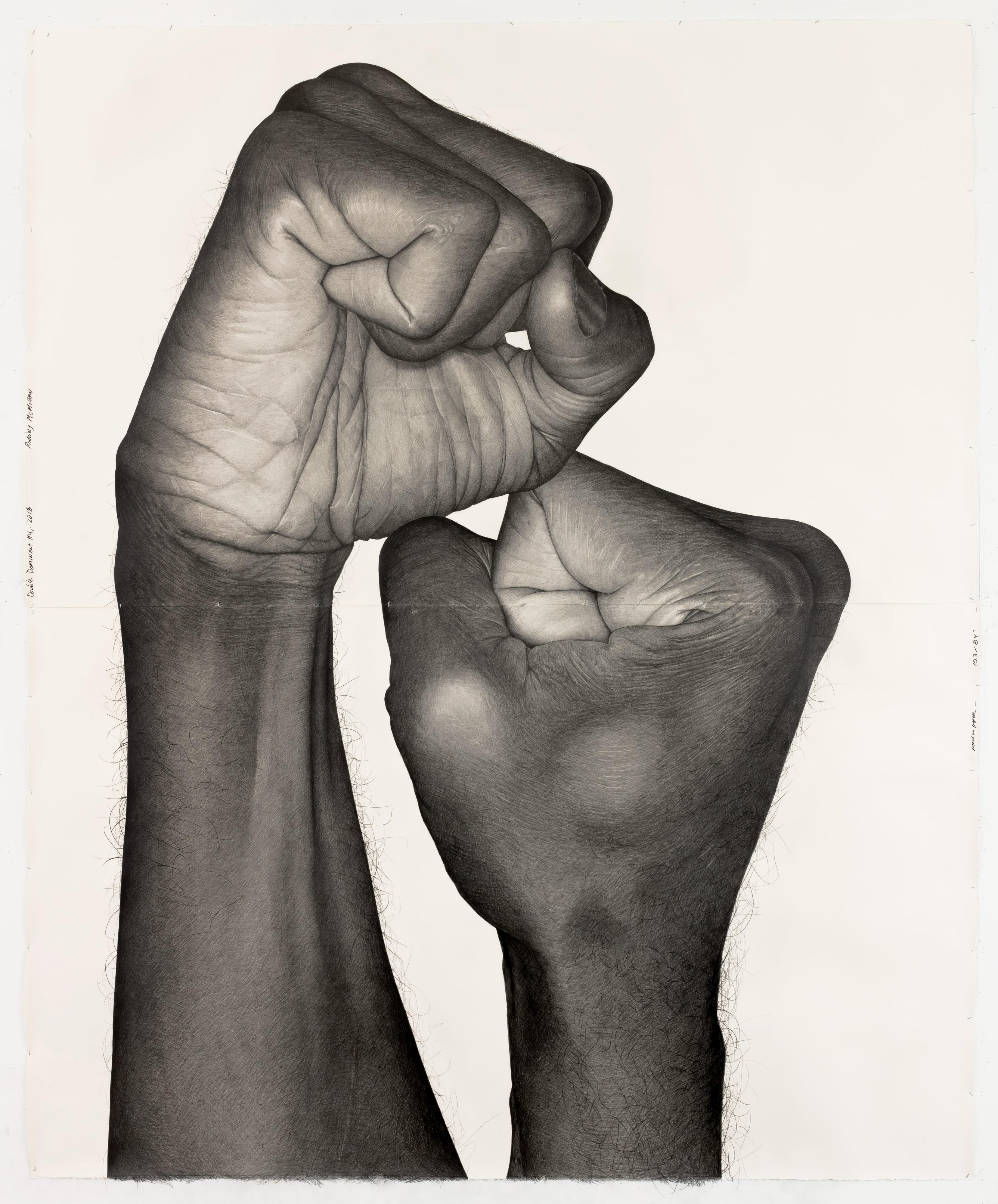 Double Dominant 4 (Rodney McMillian)