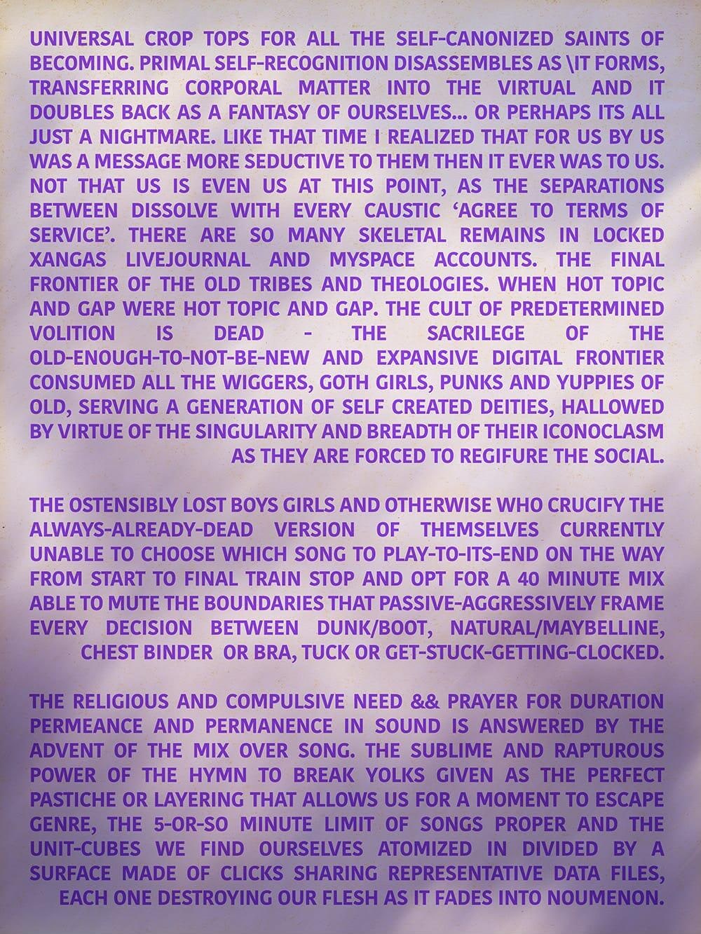 Untitled (Destroying Flesh)