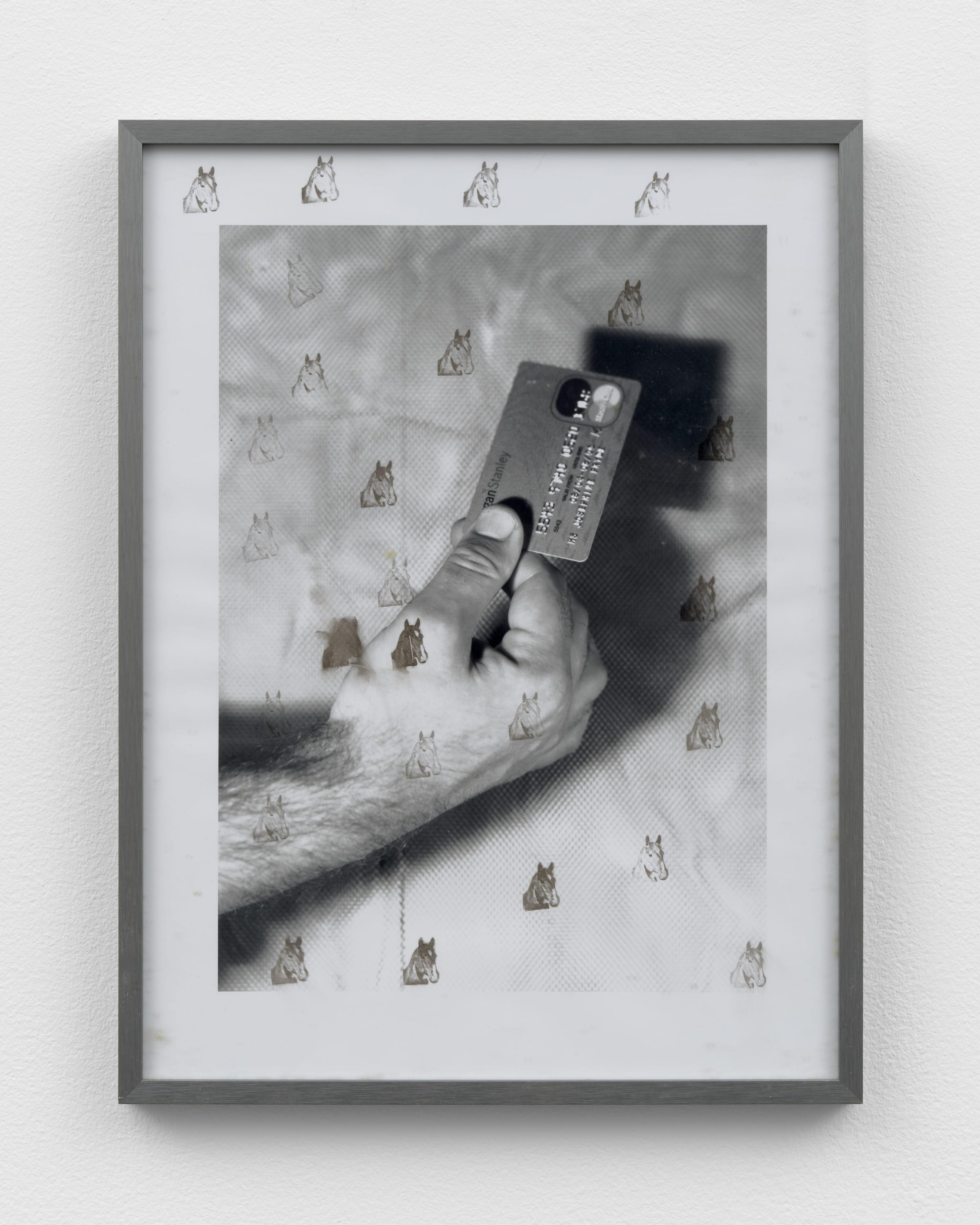 Untitled (credit card series)