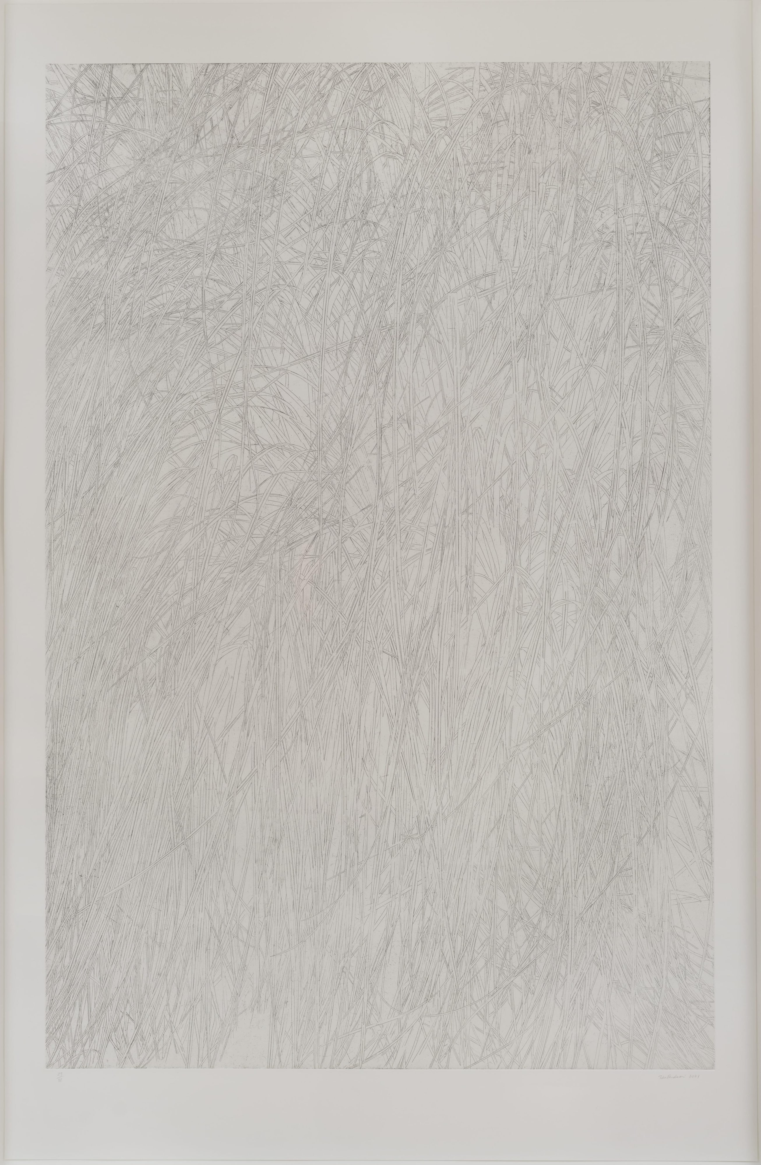 Untitled (grass)