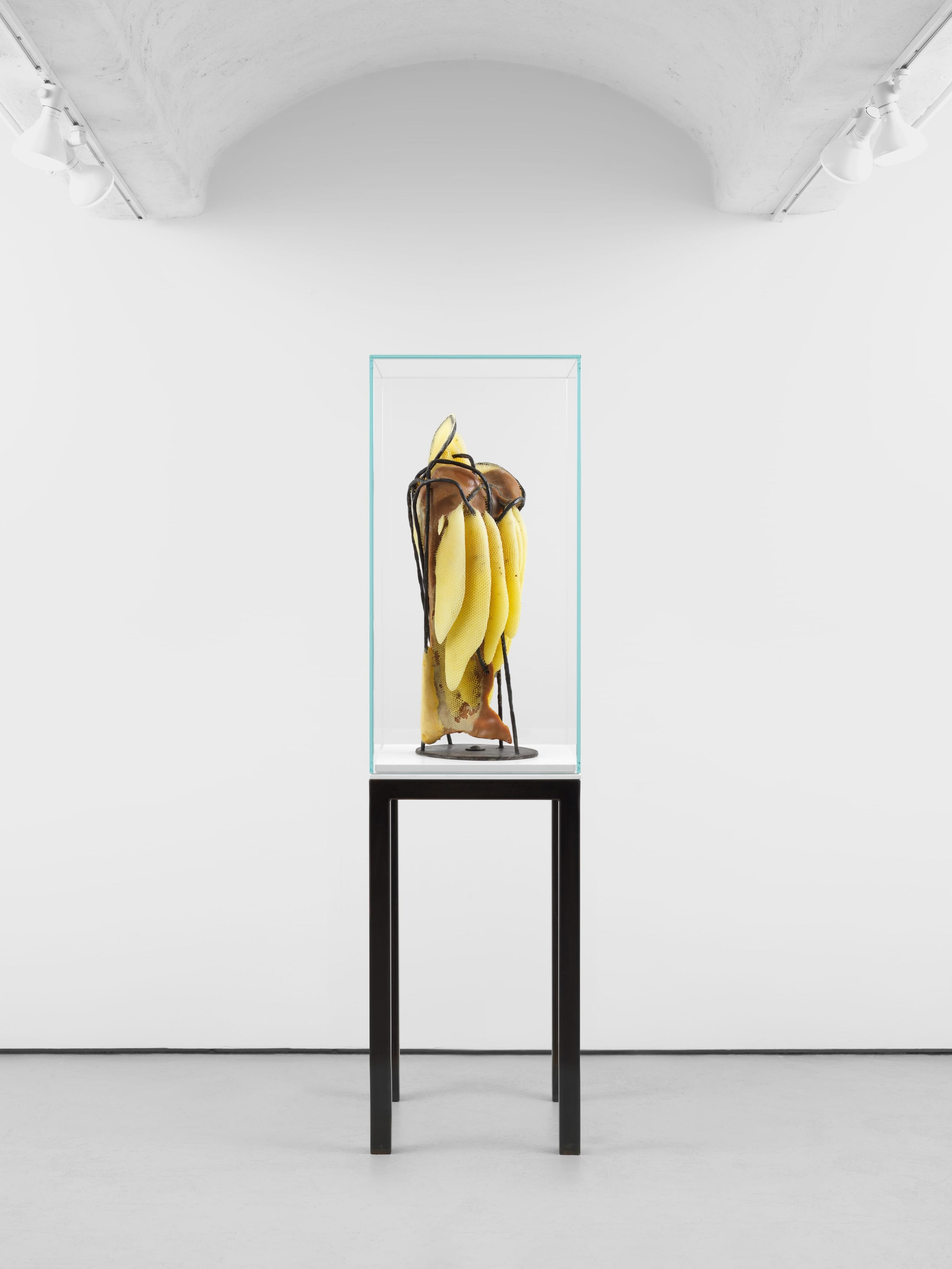 Forged Dance; Entropic Subconscious Matris (2)