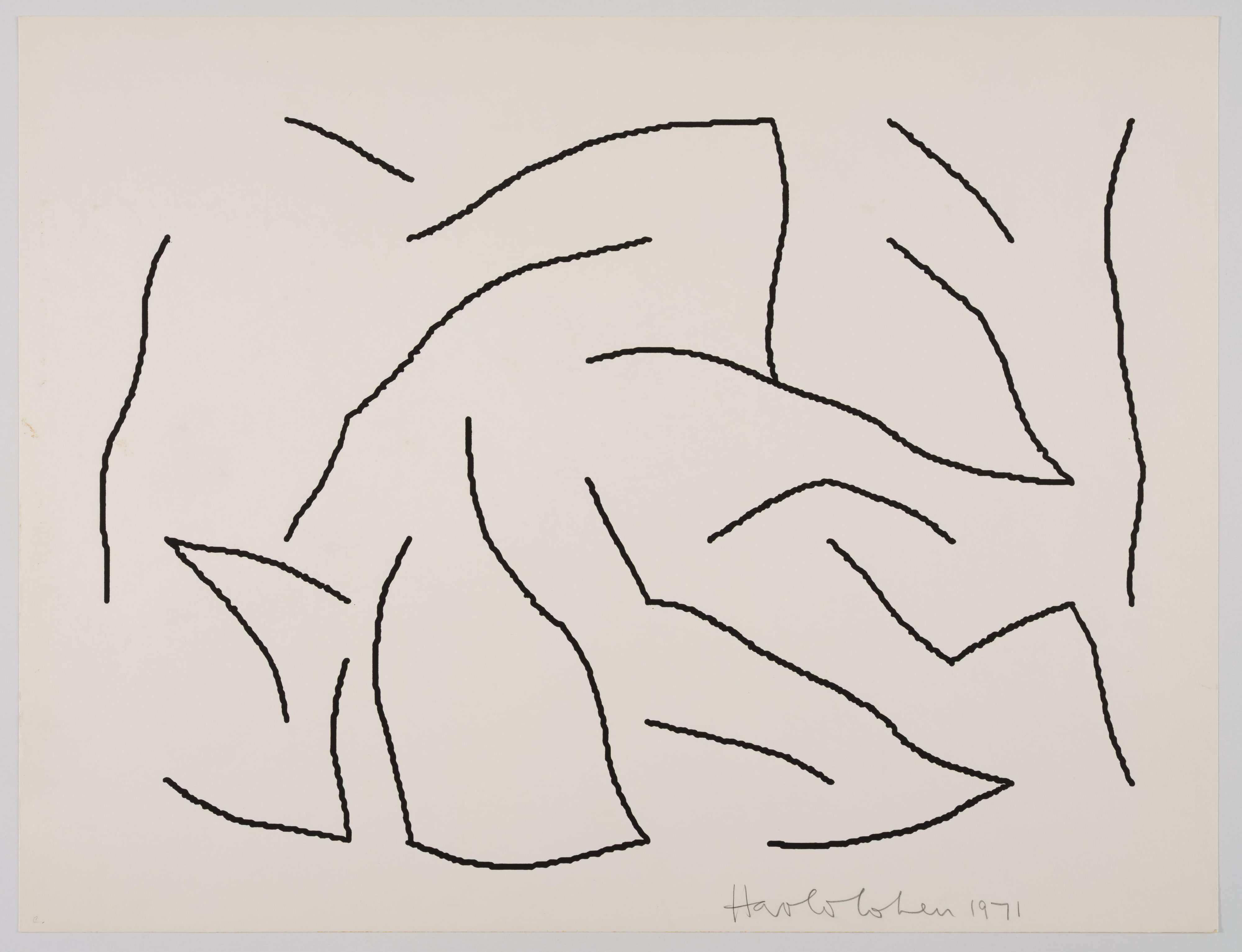 Maze by Harold Cohen