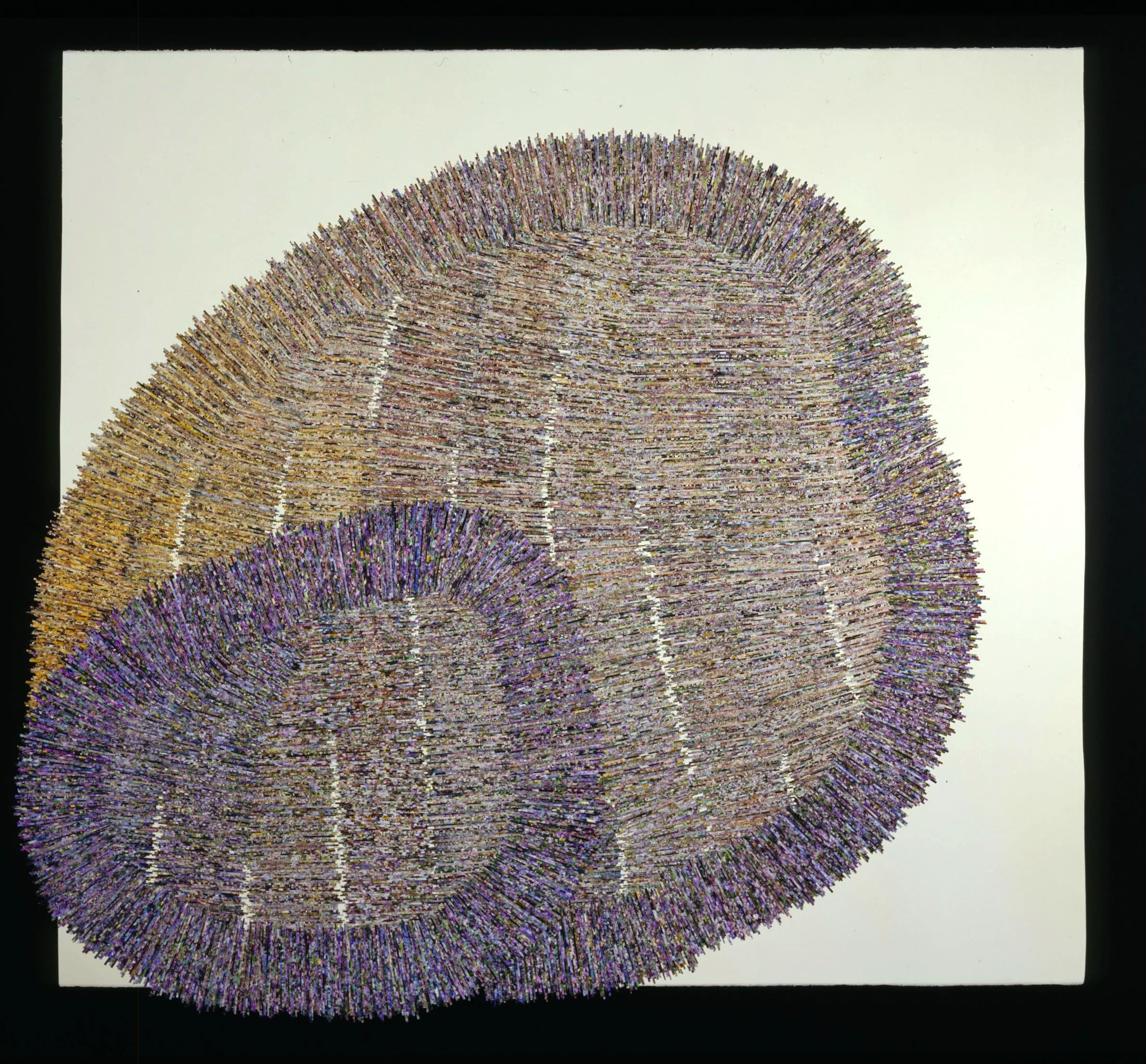 Lavender and Yellow