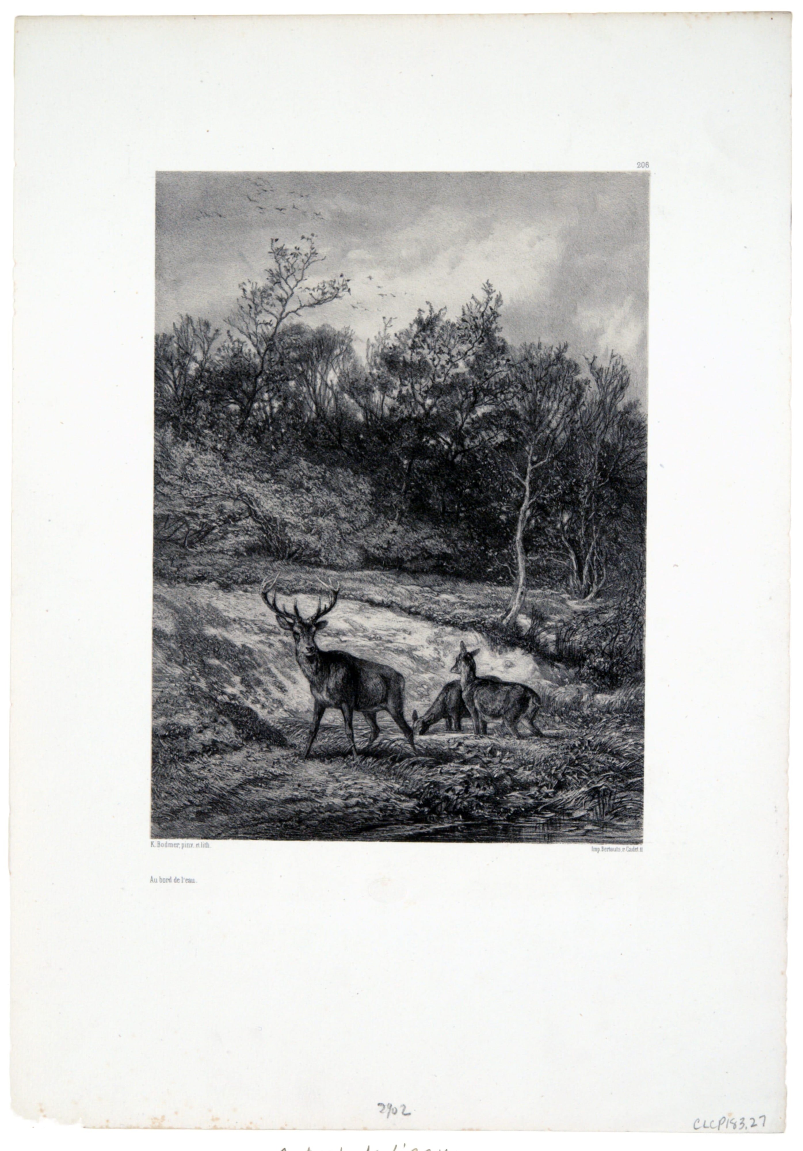Au bord de l`eau