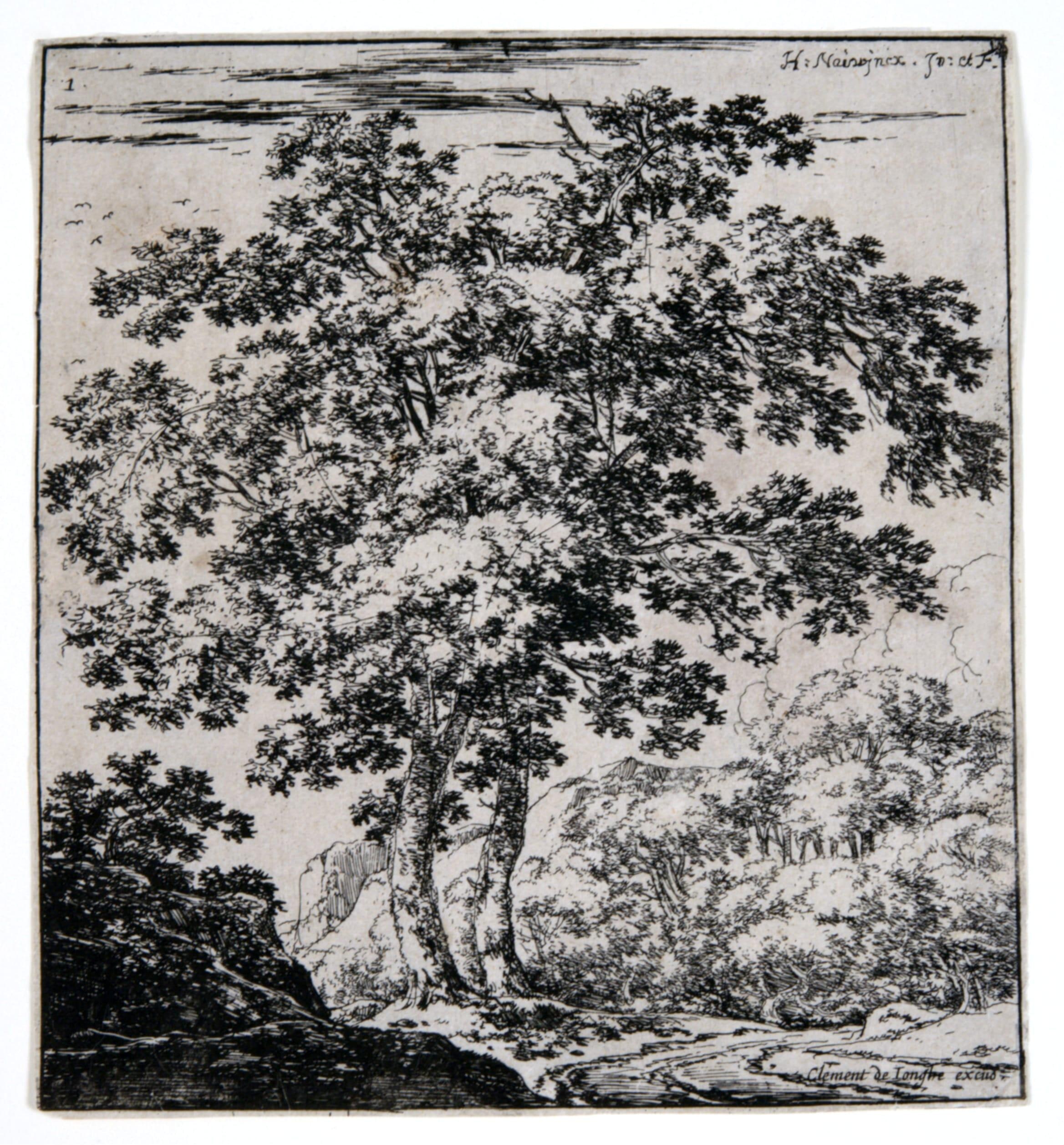 The Two Large Trees in the Center