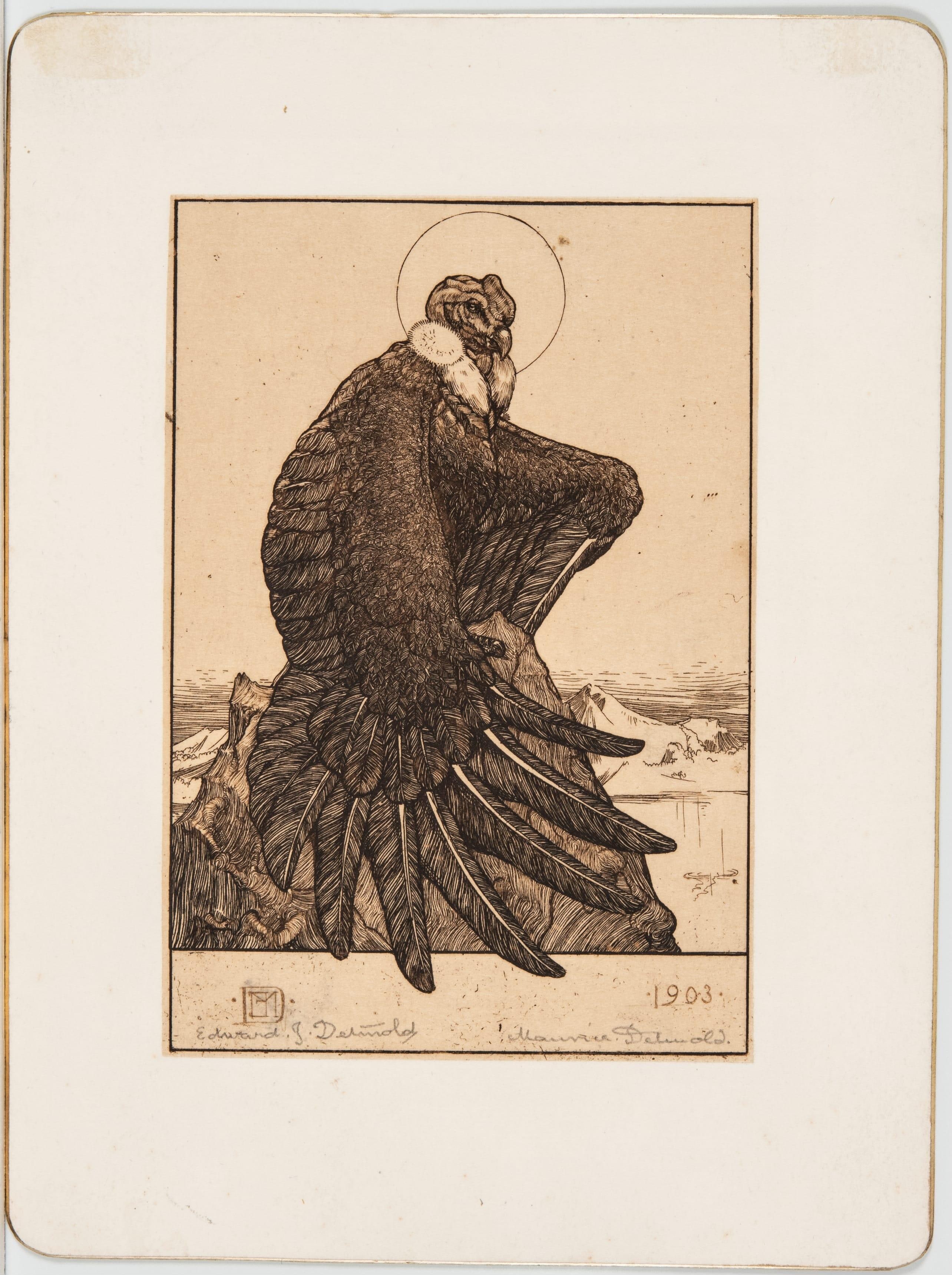 Condor