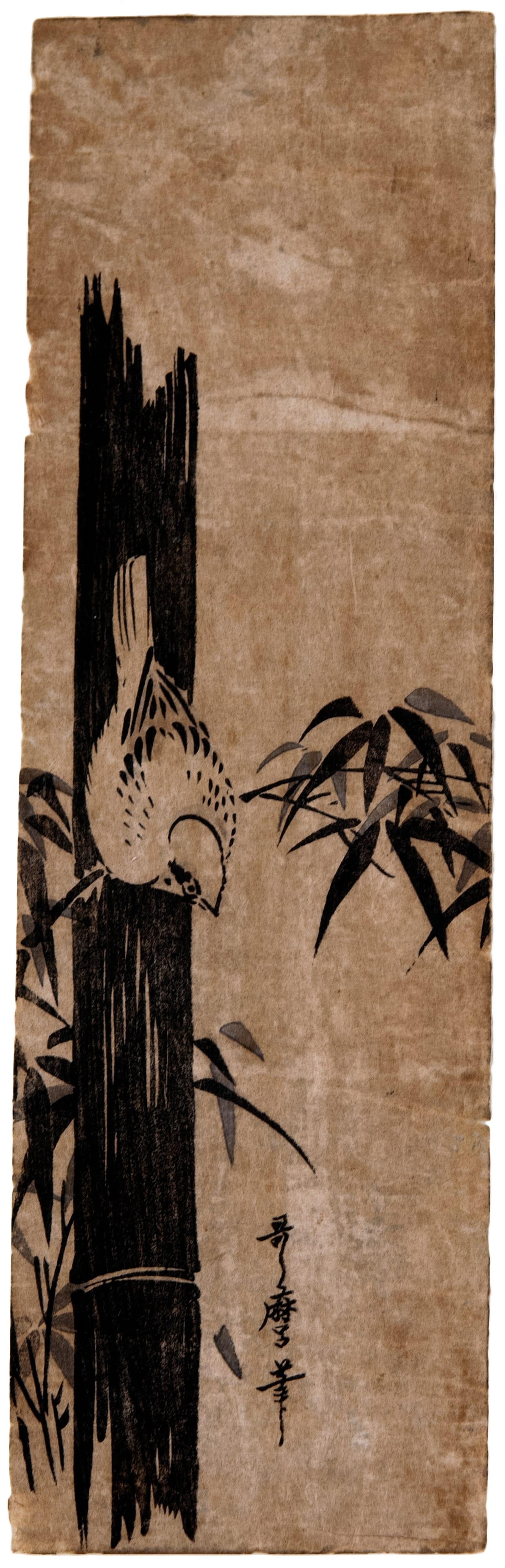 Bird on bamboo
