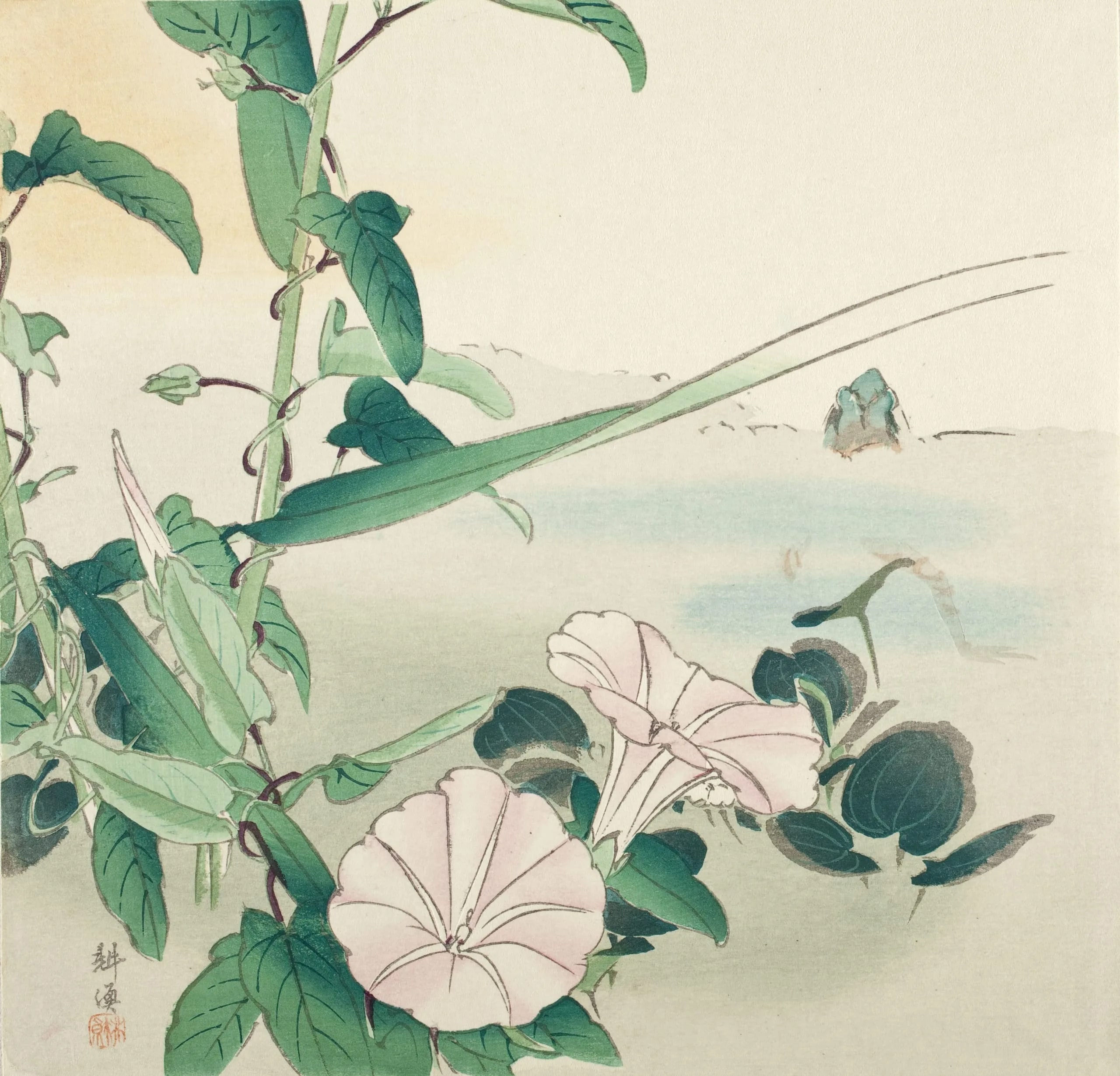 Morning Glory and Frog