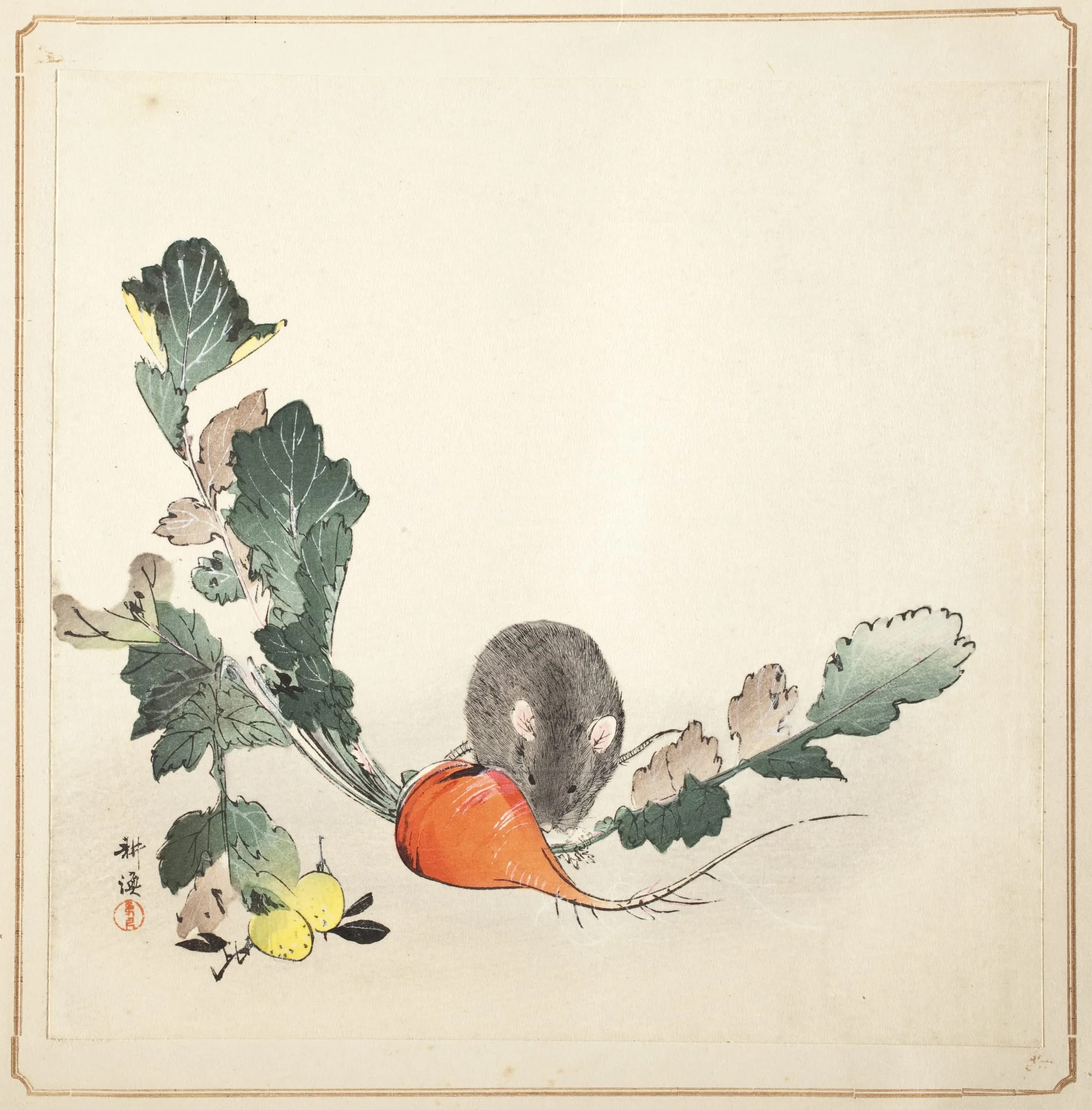 Mouse and Radish