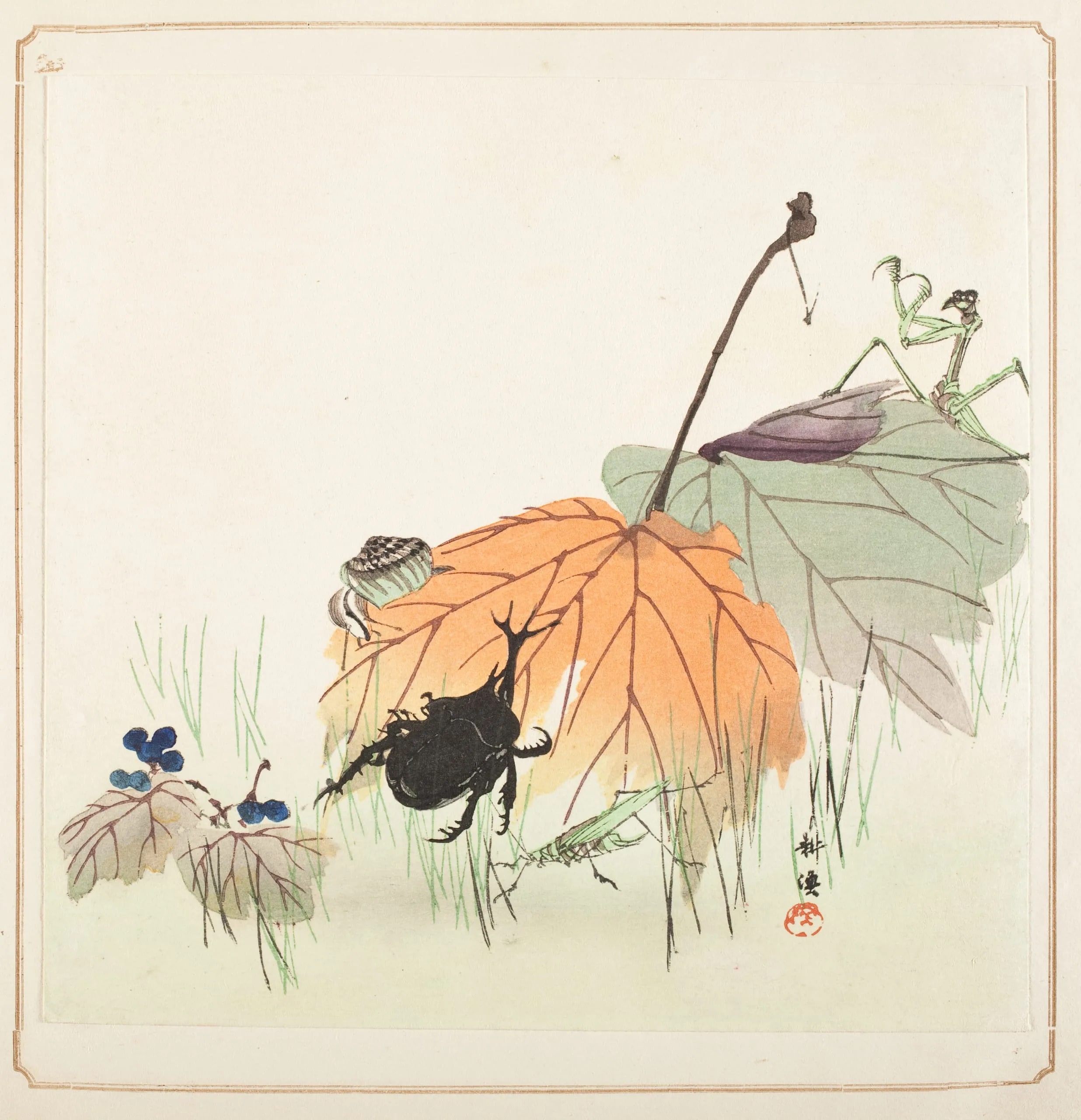 Insects in Autumn
