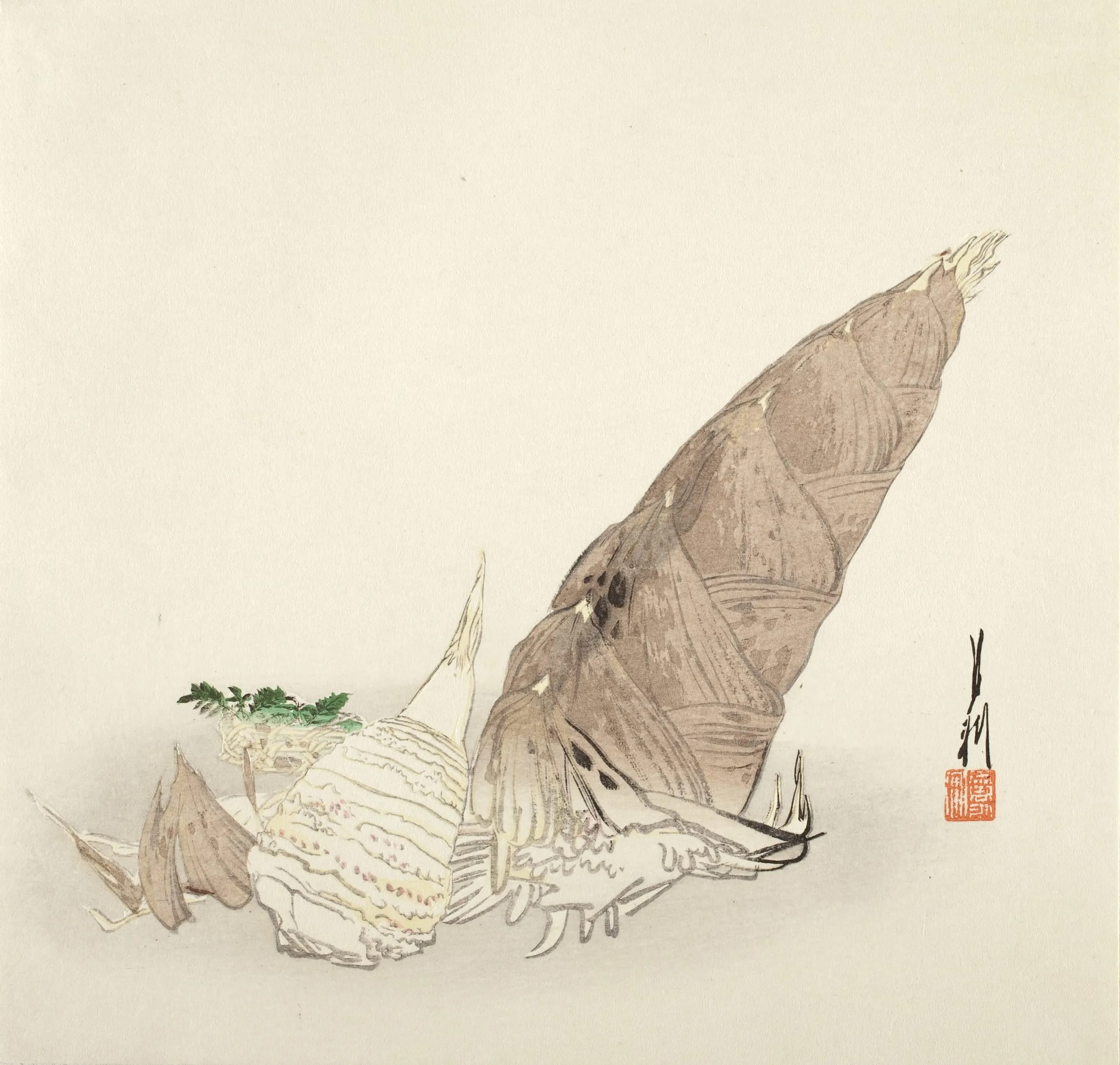 Bamboo Shoots