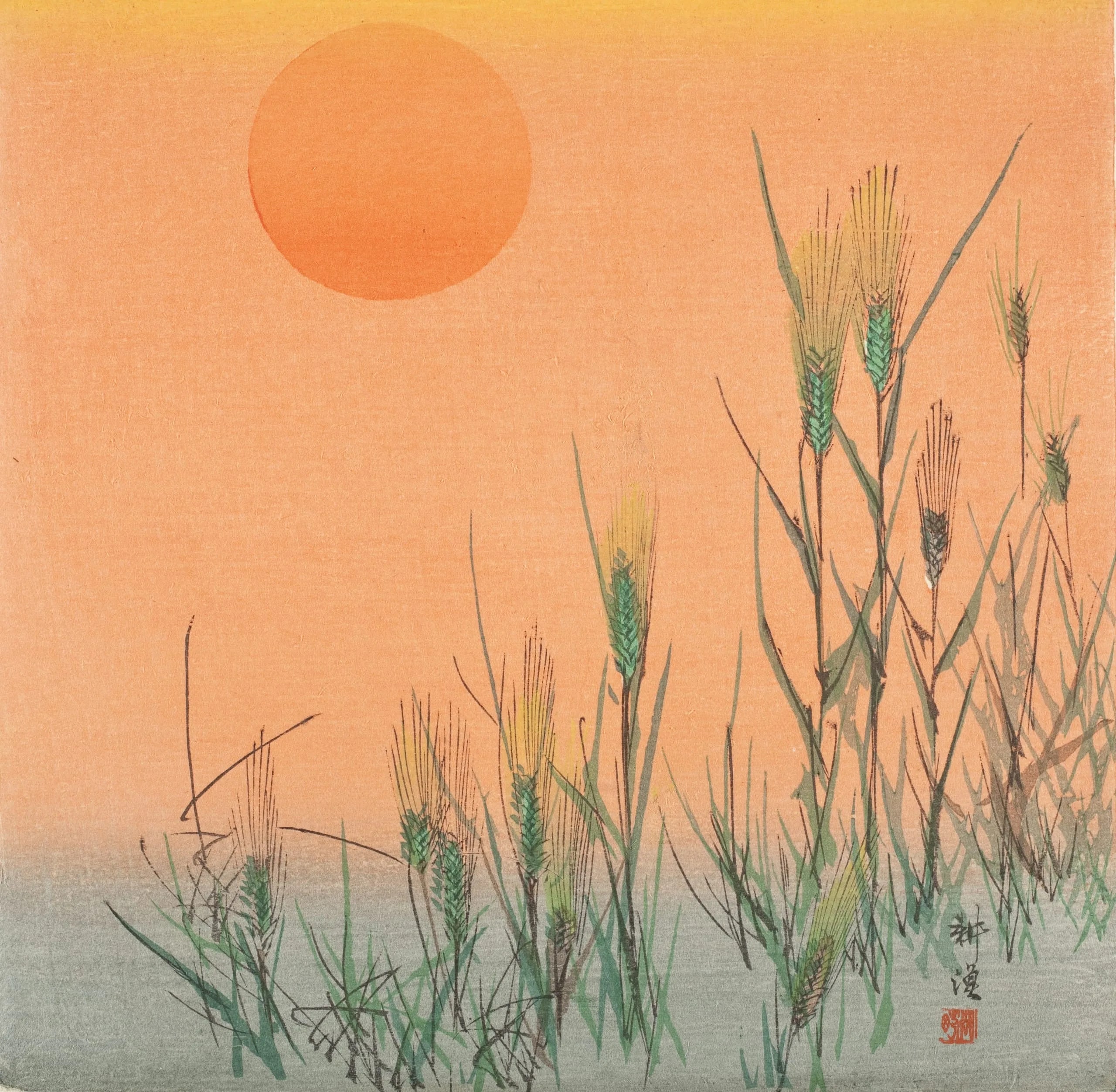 Barley at Sunrise