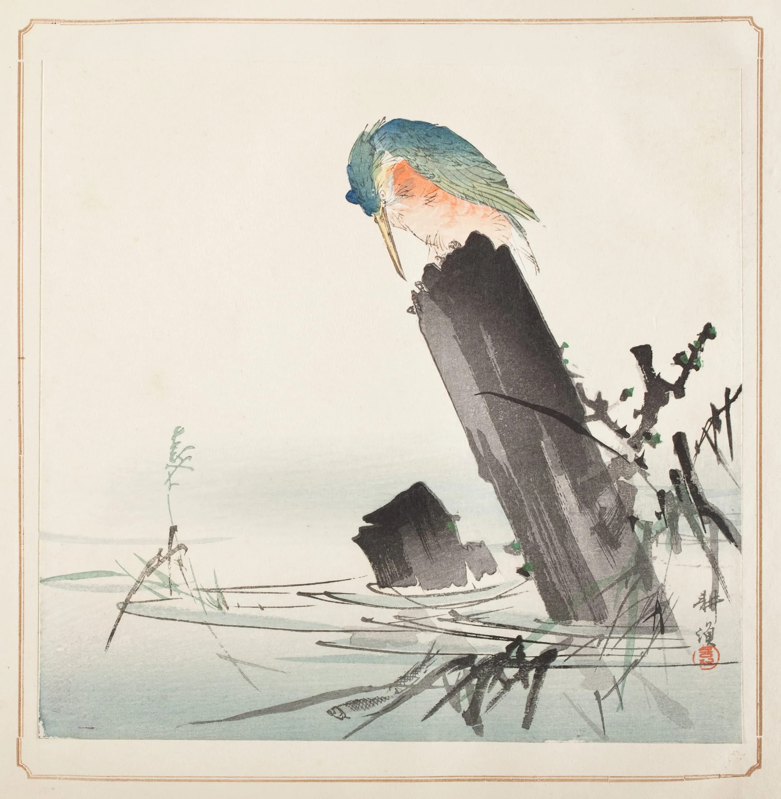 Kingfisher