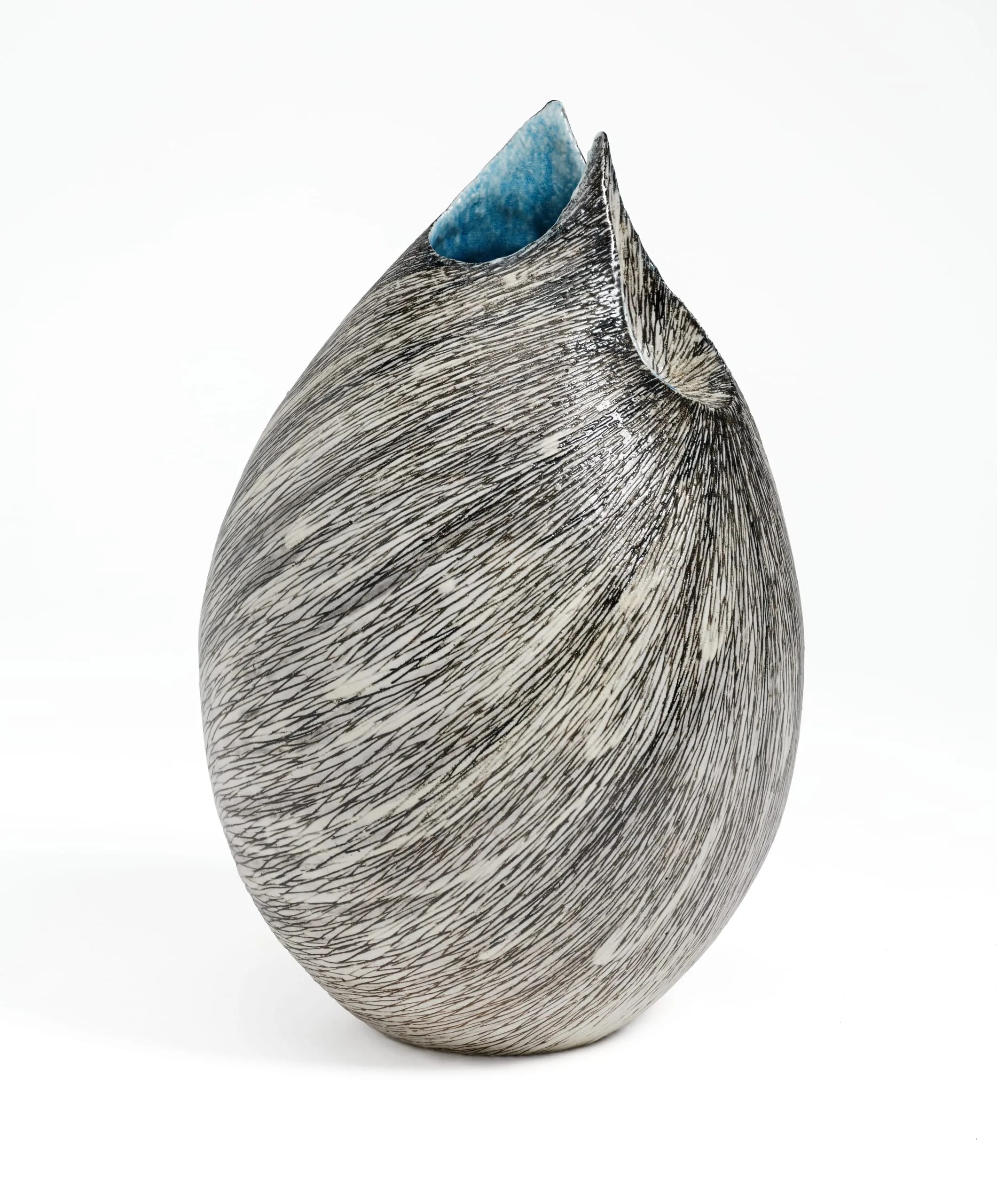 Shell:  Vase