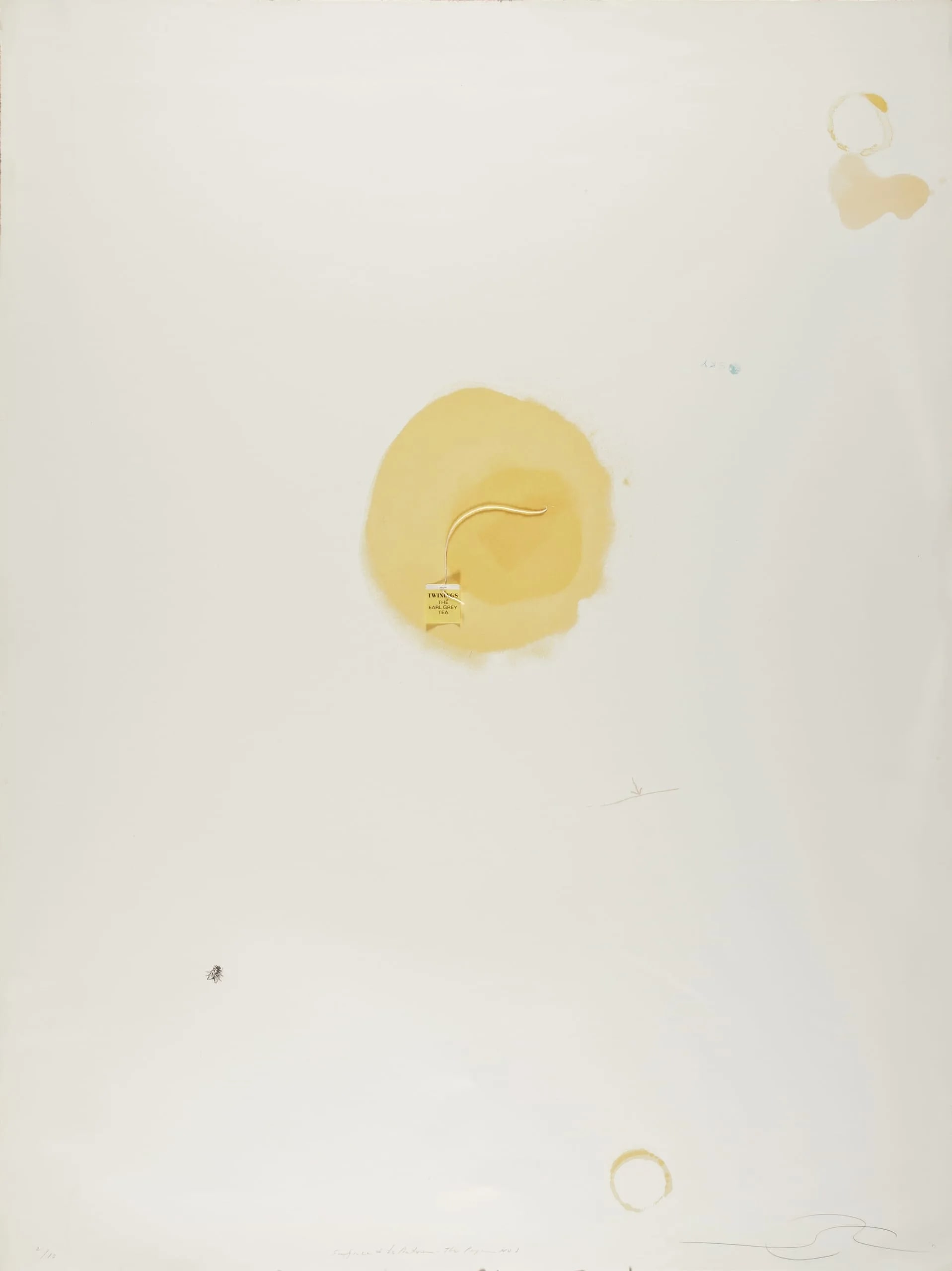 Surface is the Between - Between Vertical and Horizon - The Paper - Tea No. 3