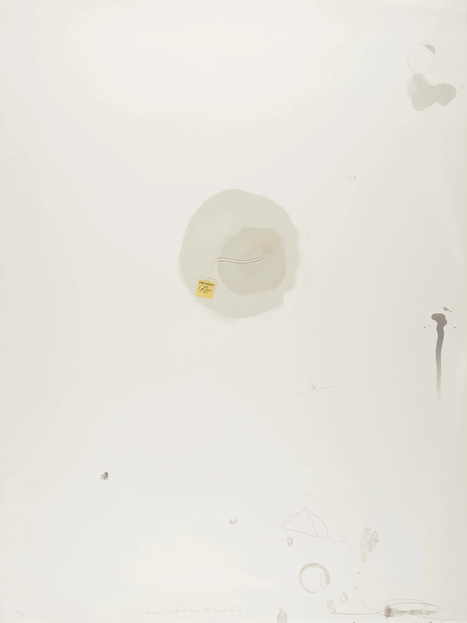 Surface is the Between - Between Vertical and Horizon - The Paper - Tea No. 4
