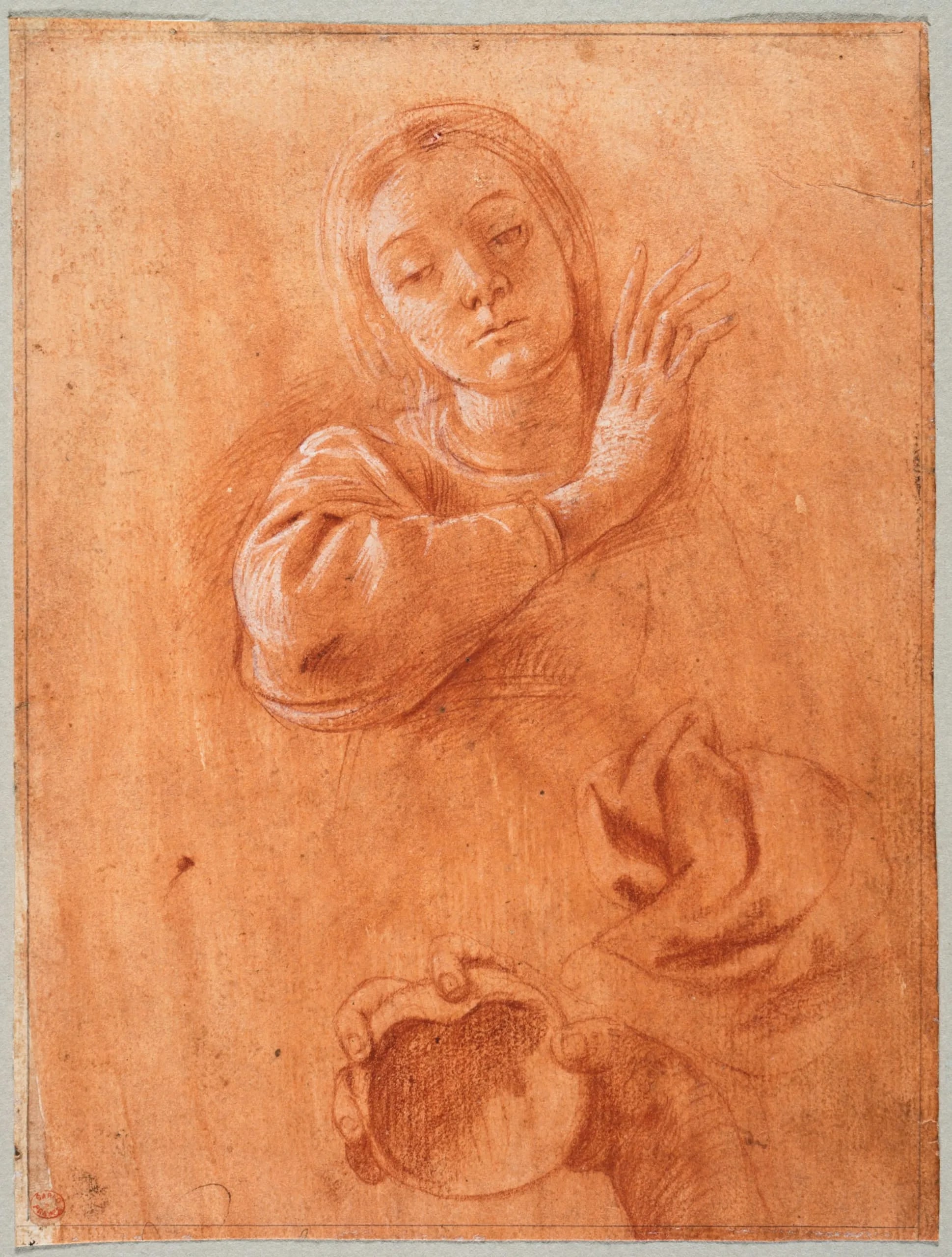 Studies of the Virgin, Drapery, and the Hand of Saint John the Baptist Holding a Shell