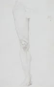Study of a Leg
