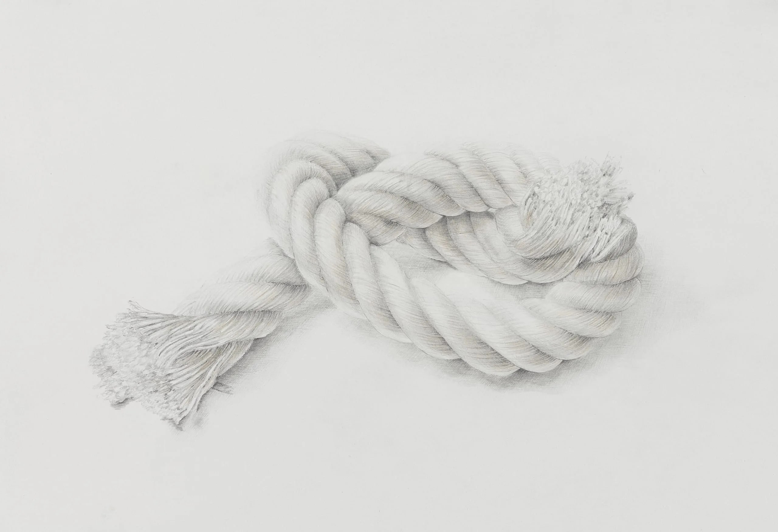 Cordage Noué