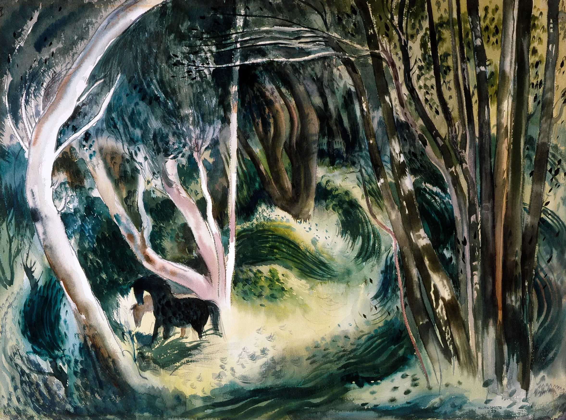 Deep Woods