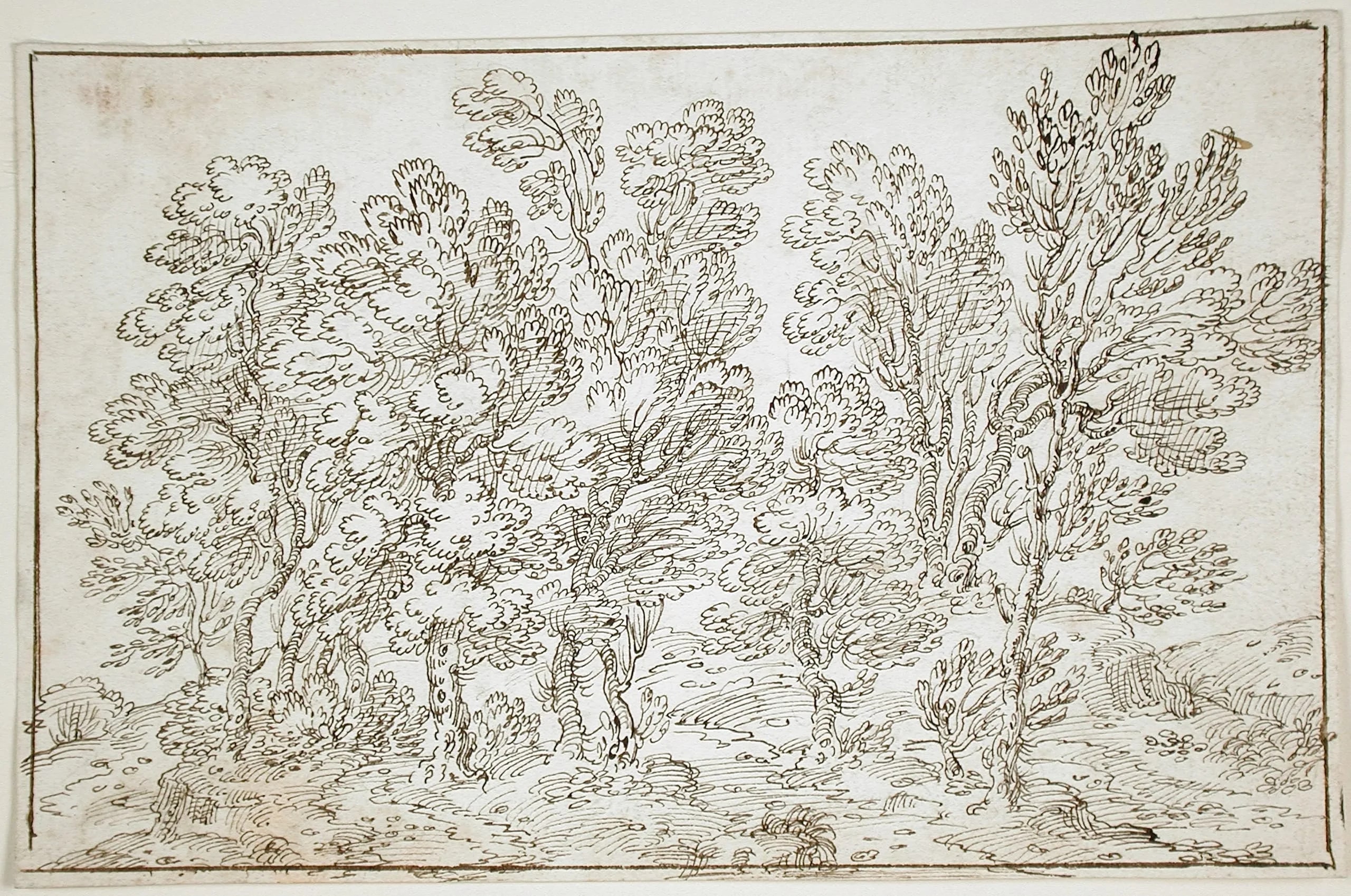 Landscape with Row of Trees