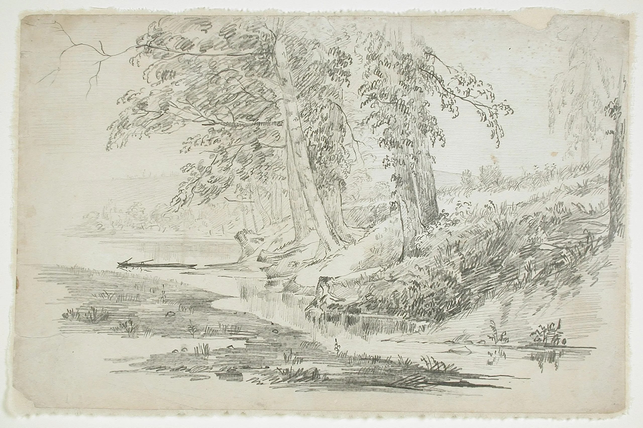 Hilly Landscape with Trees and Winding River