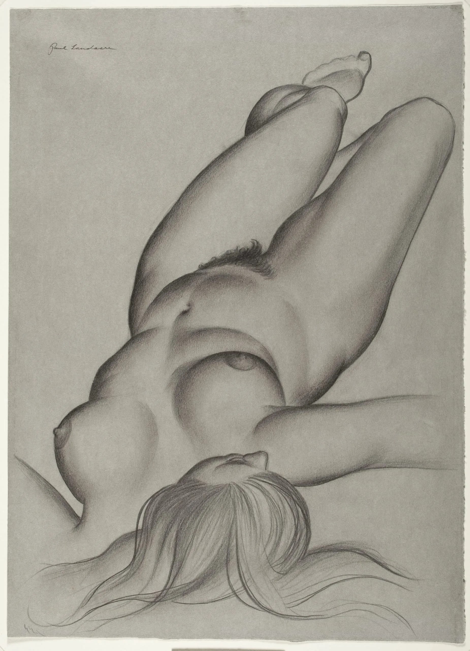 Siesta