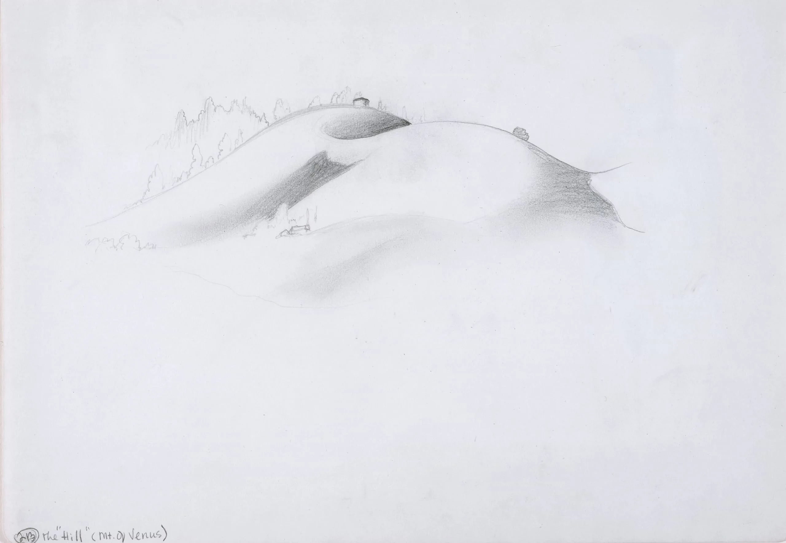 Hill (Mt. of Venus)