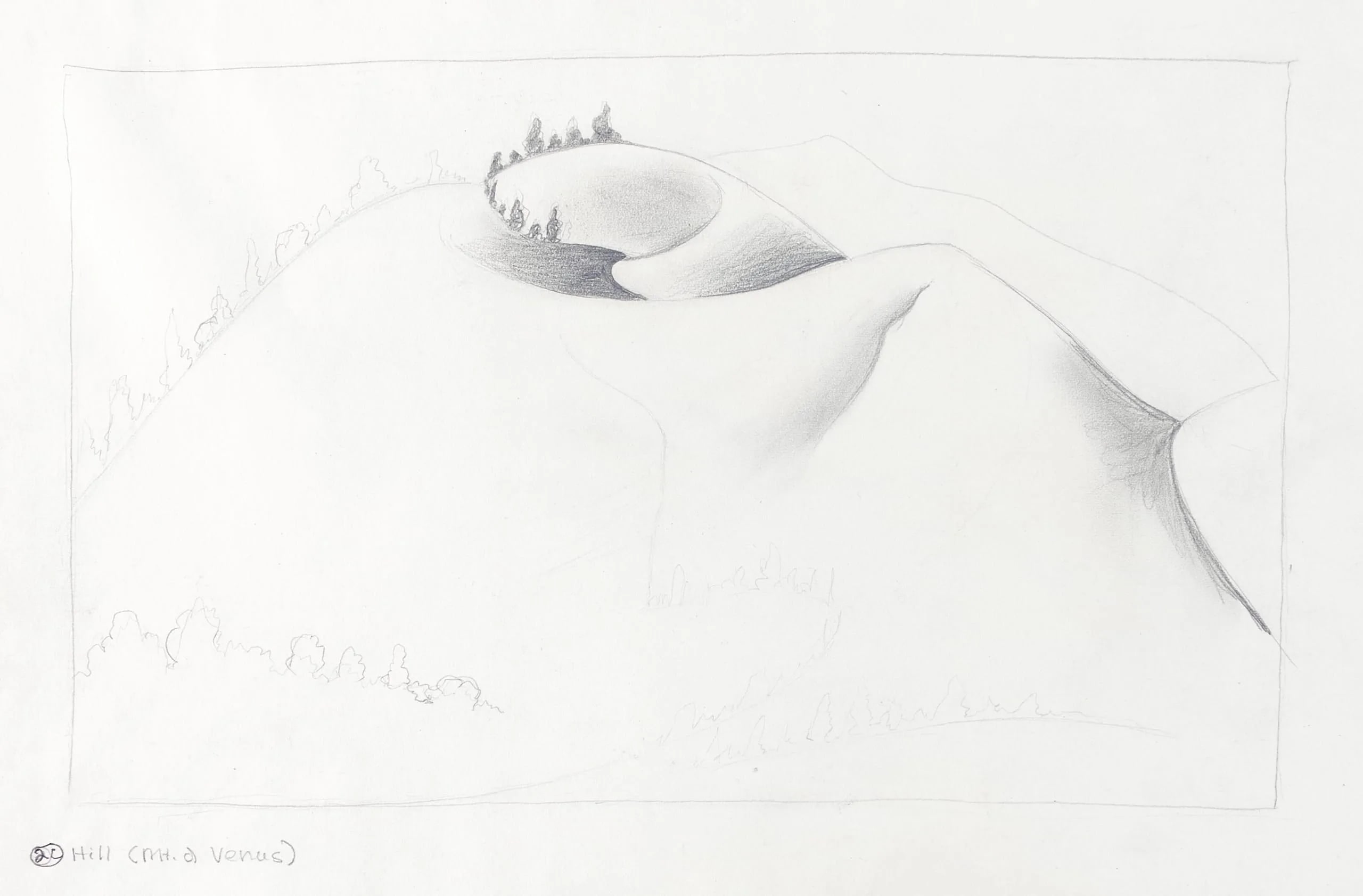 Hill (Mt. of Venus)