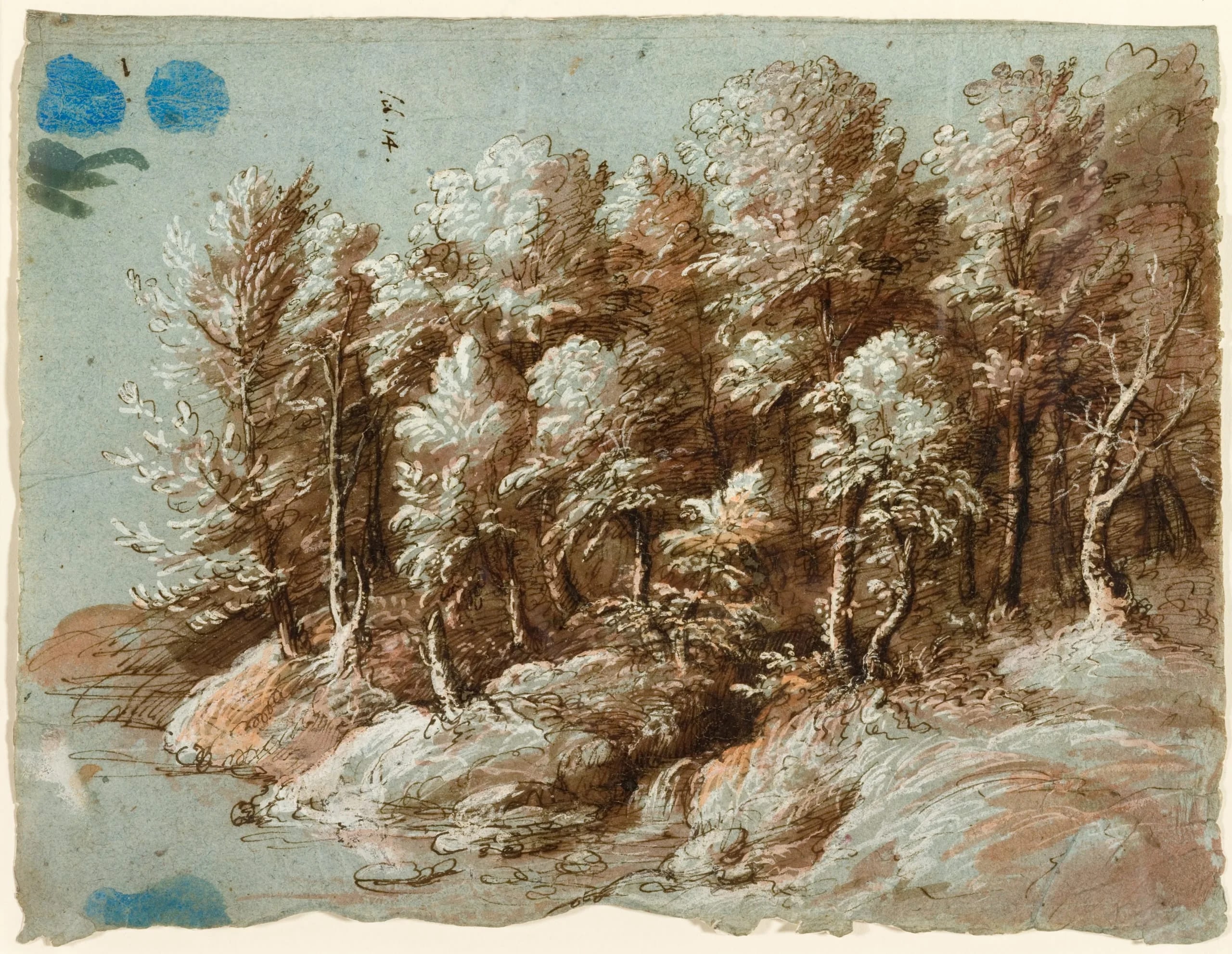 A Wooded Ridge