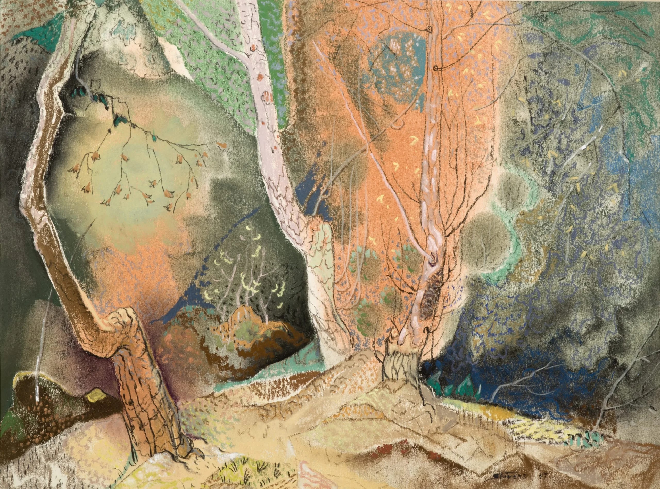 The Apricot Trees